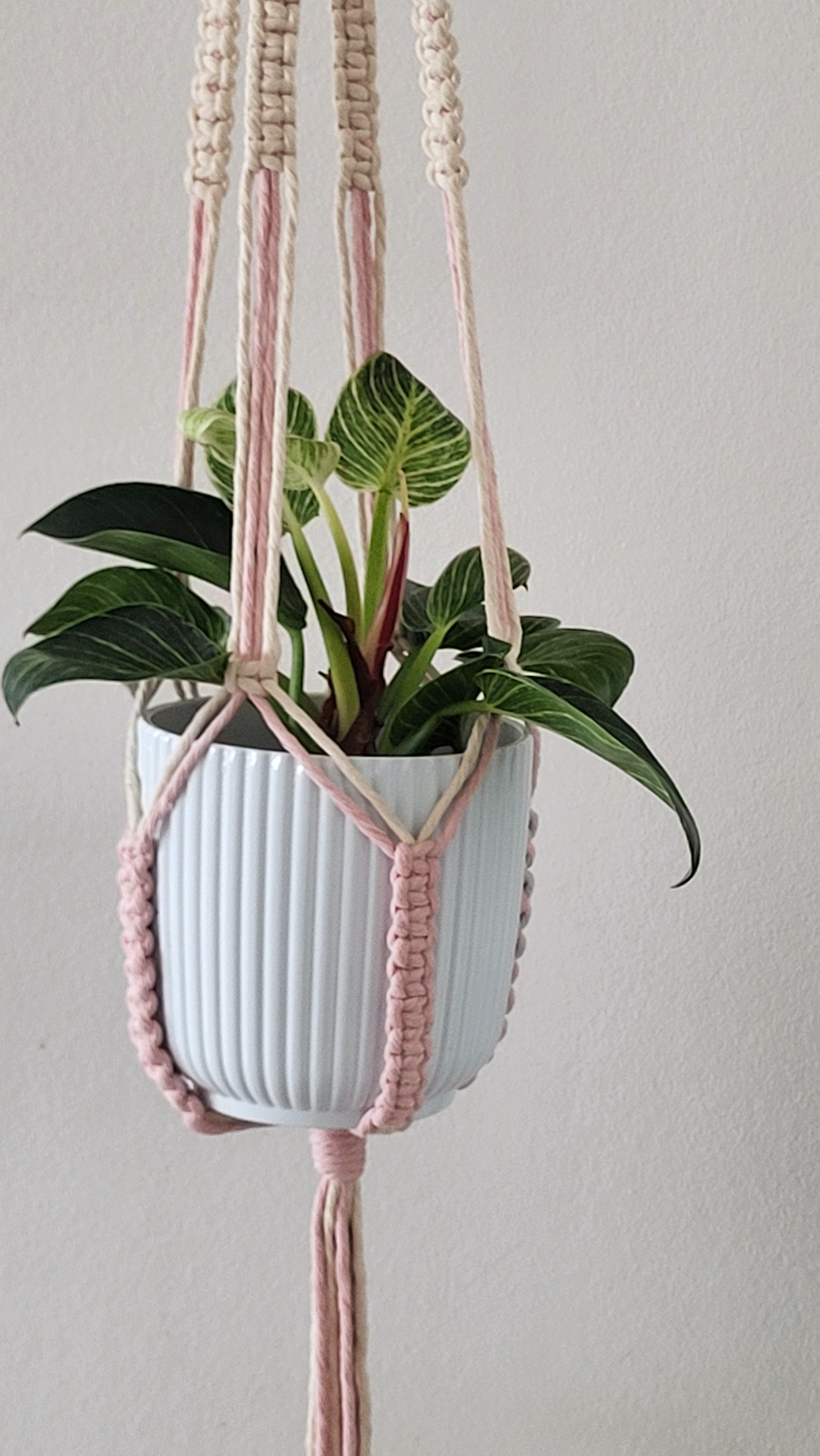 The Blossom - Long - Blush – bild 4