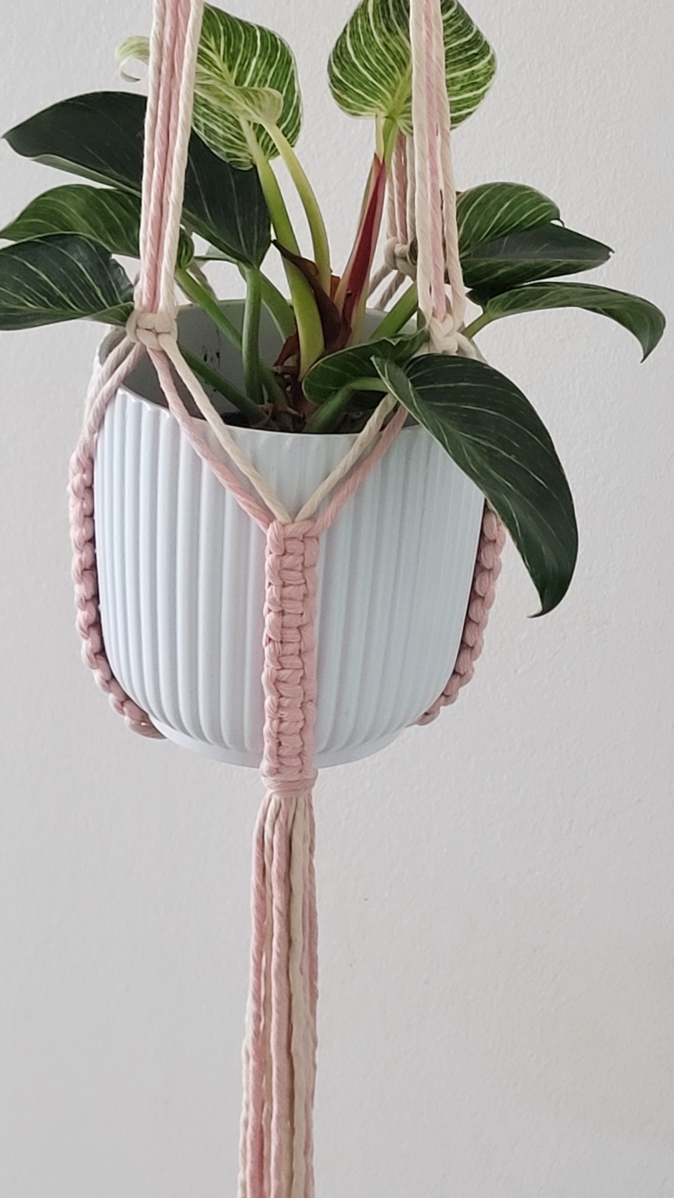 The Blossom - Long - Blush – bild 5