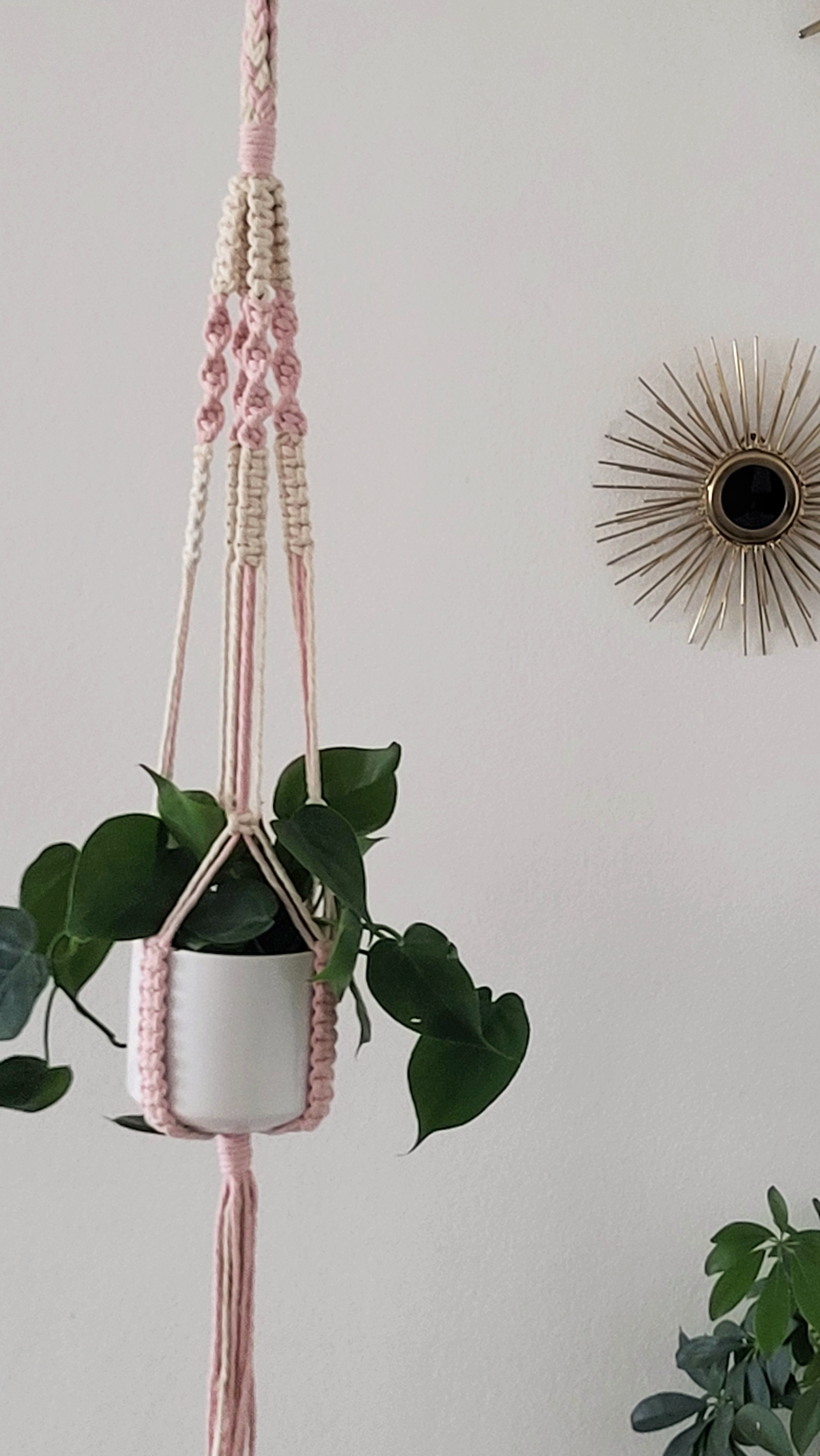 The Blossom - Short - Blush – bild 3