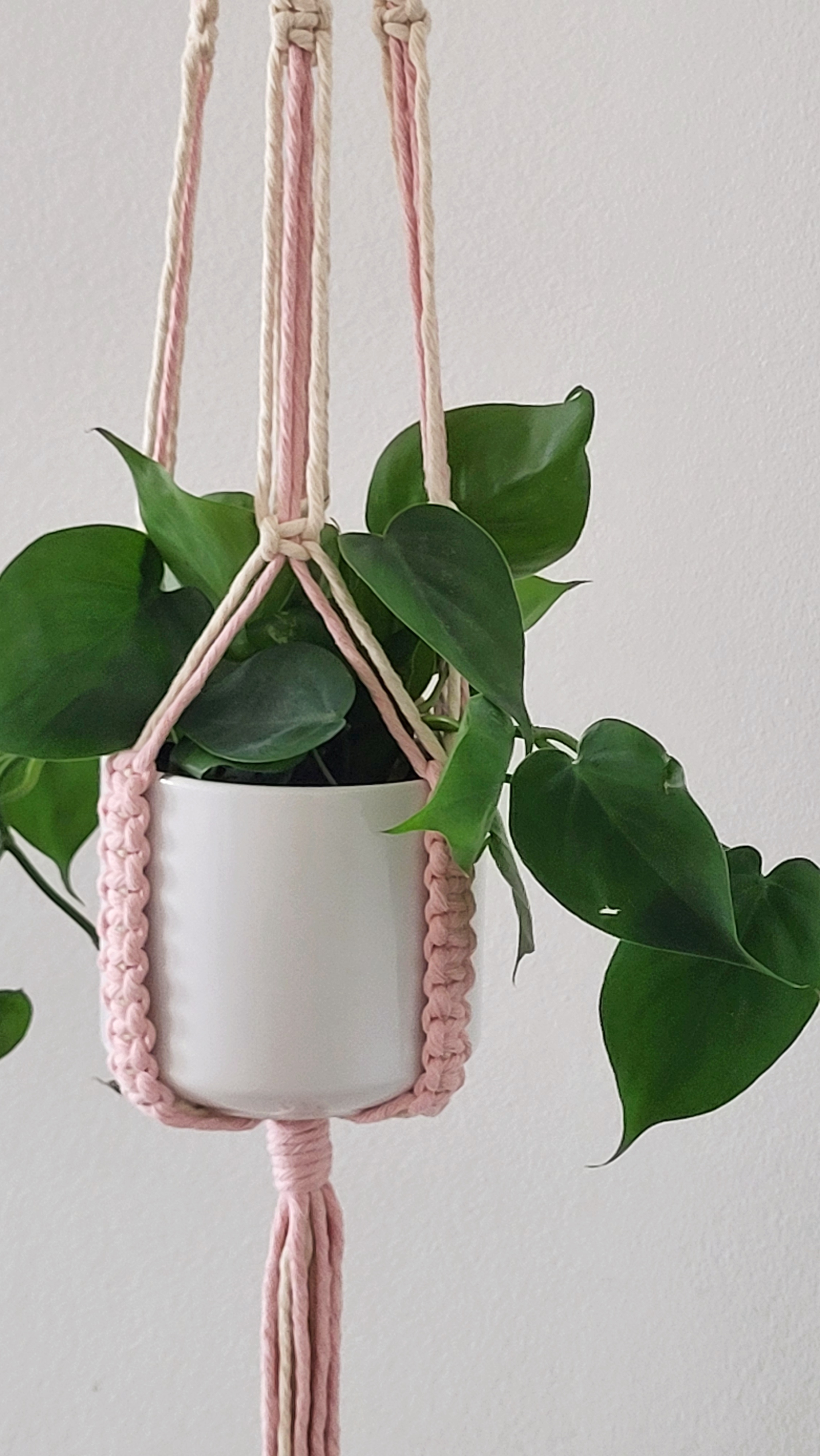 The Blossom - Short - Blush – bild 5