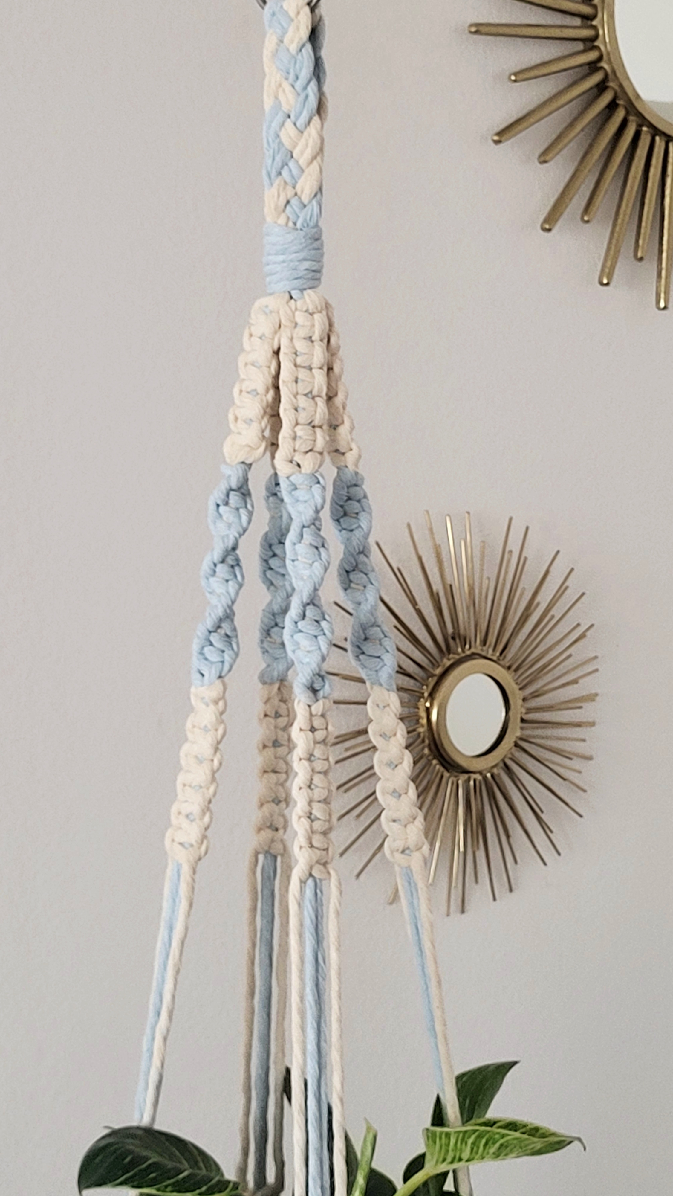 The Blossom - Short - Sky – bild 2