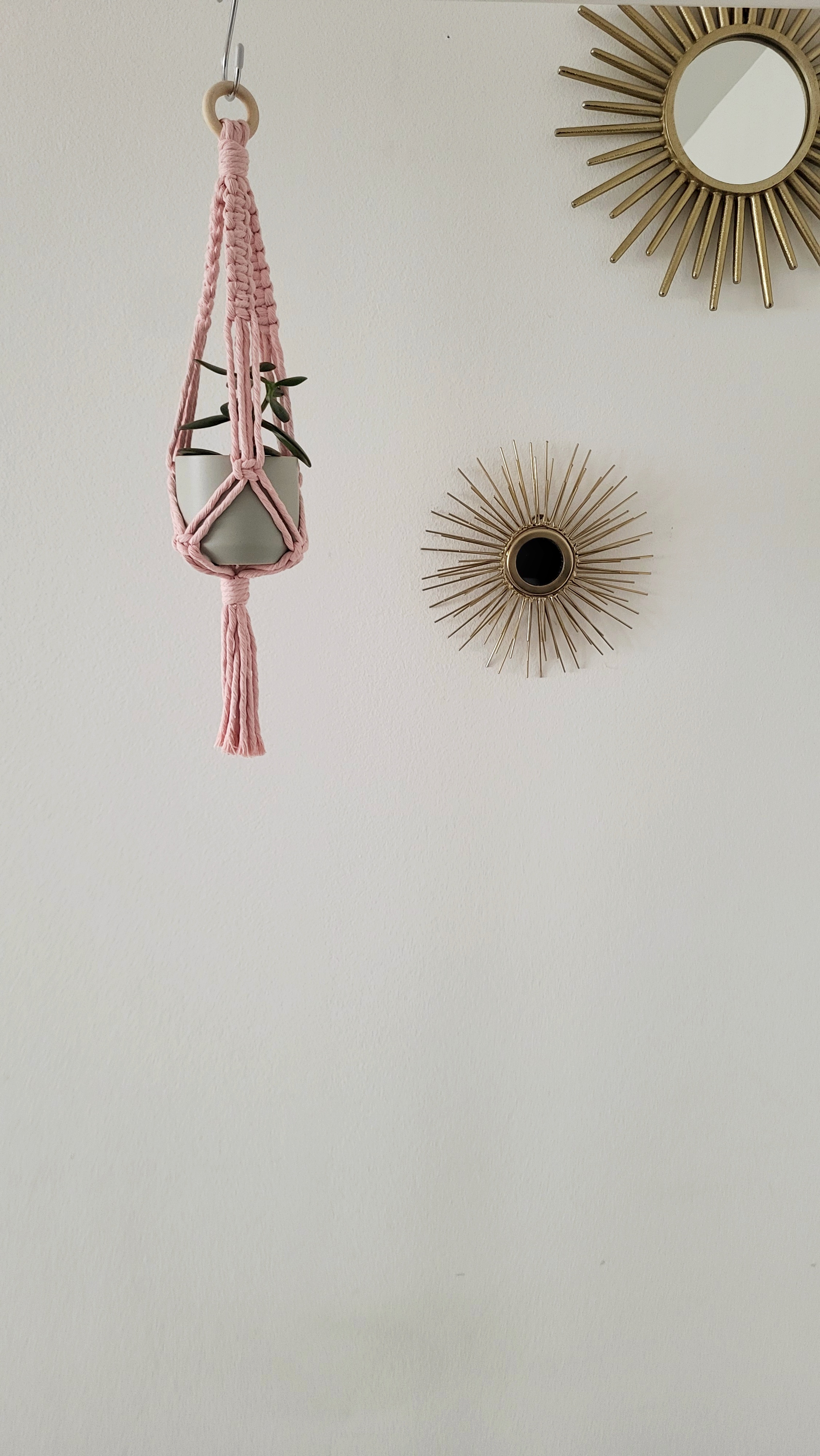 The Daisy – Blush – bild 2