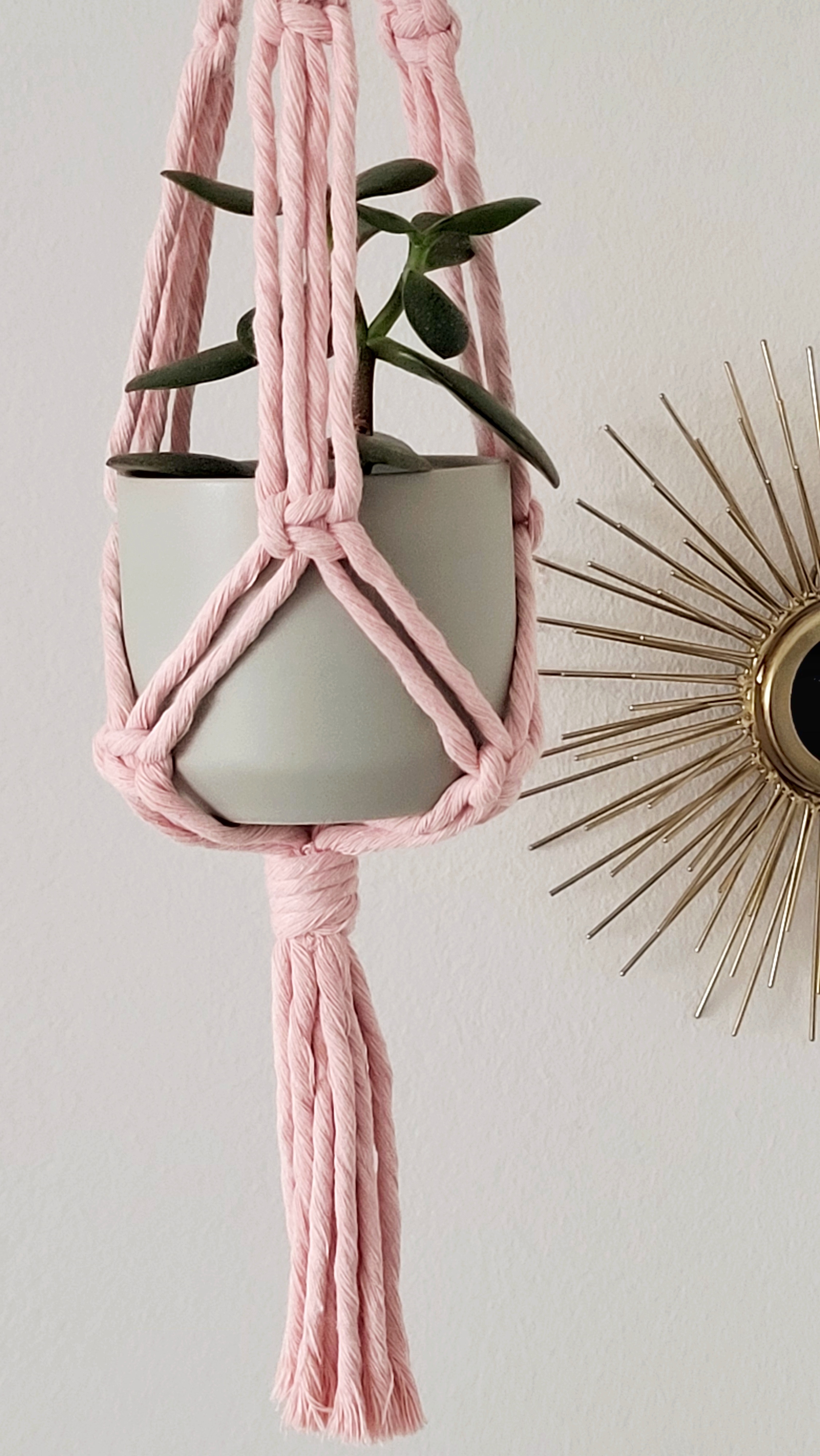 The Daisy – Blush – bild 4