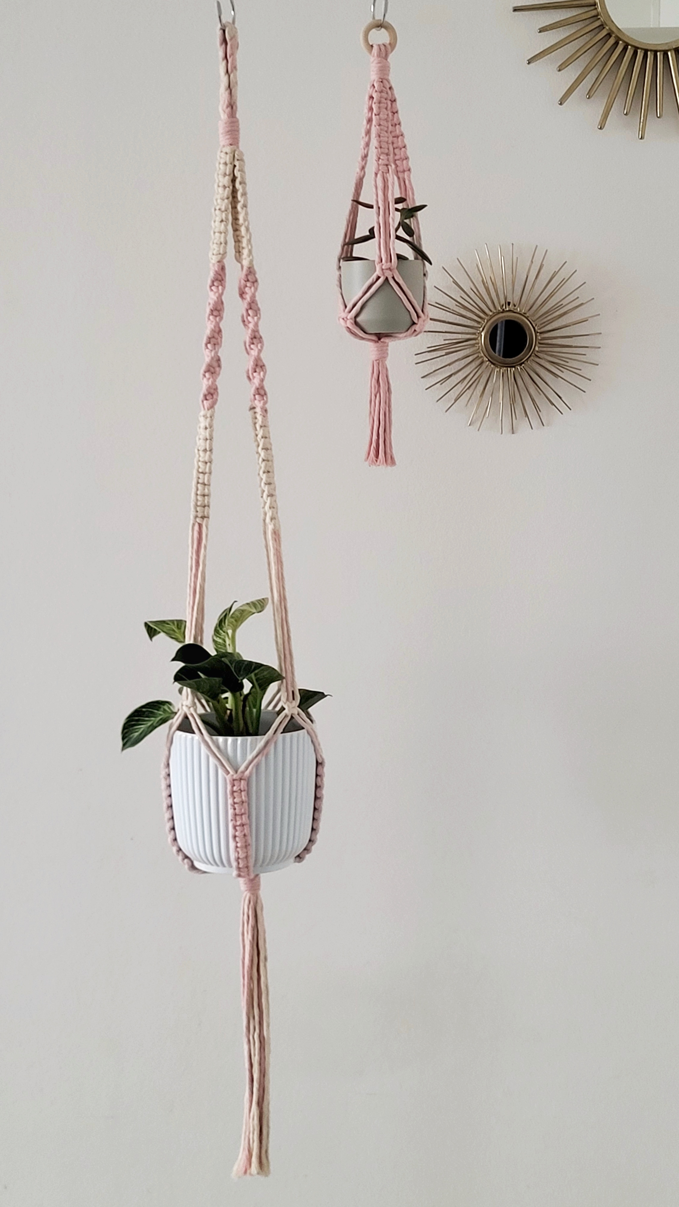 The Daisy – Blush – bild 5