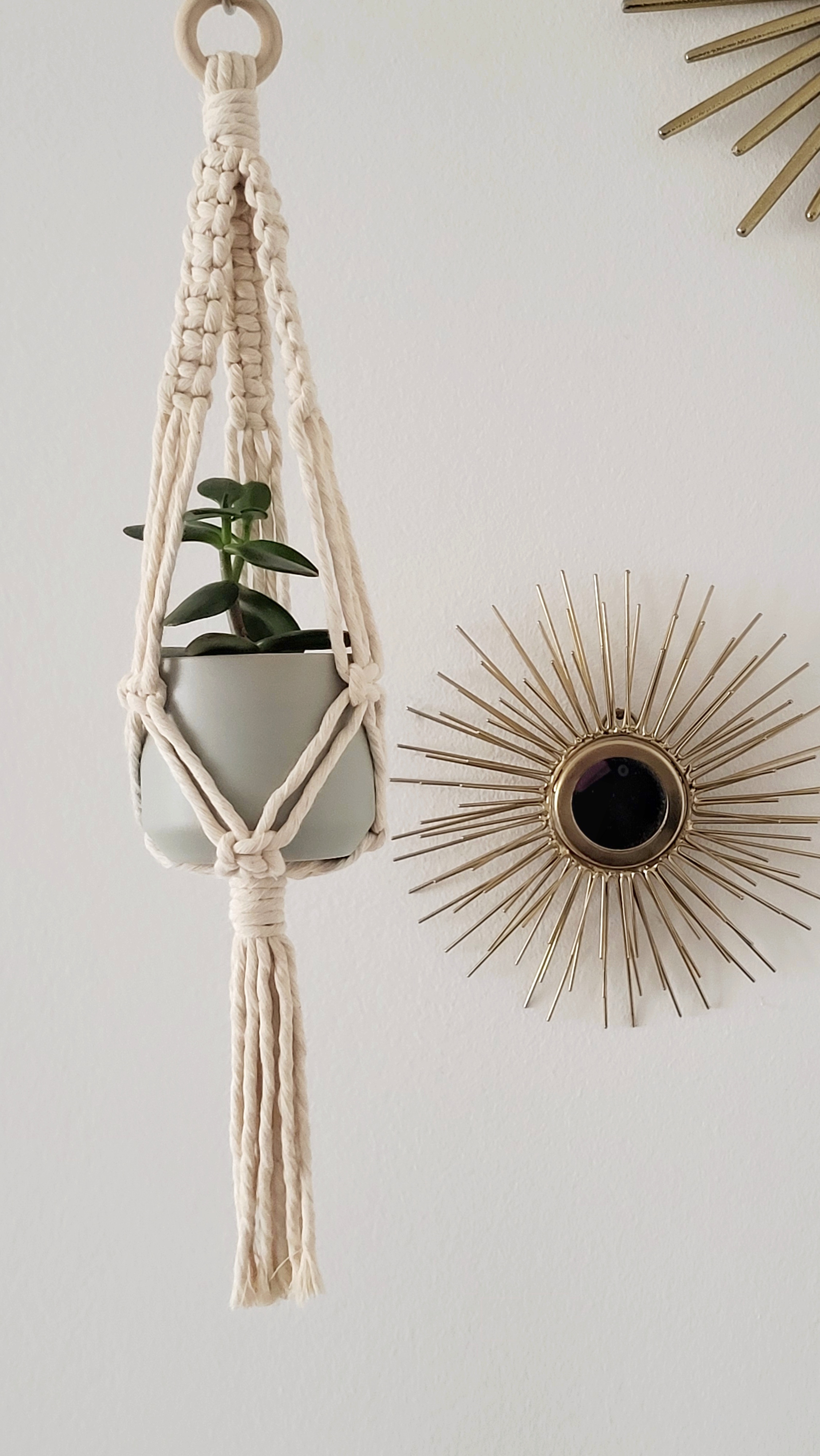 The Daisy – Natural – bild 3