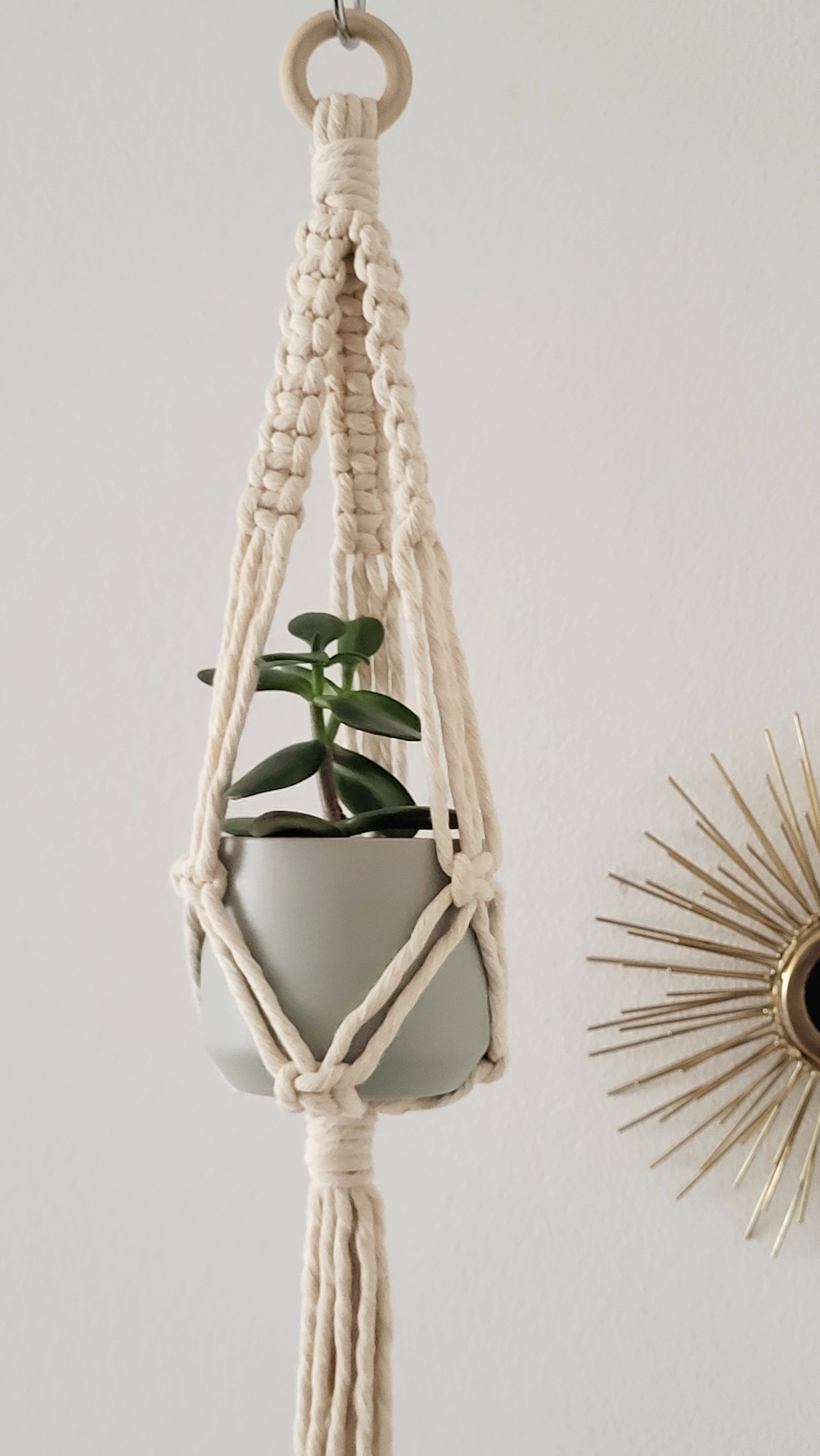 The Daisy – Natural – bild 4