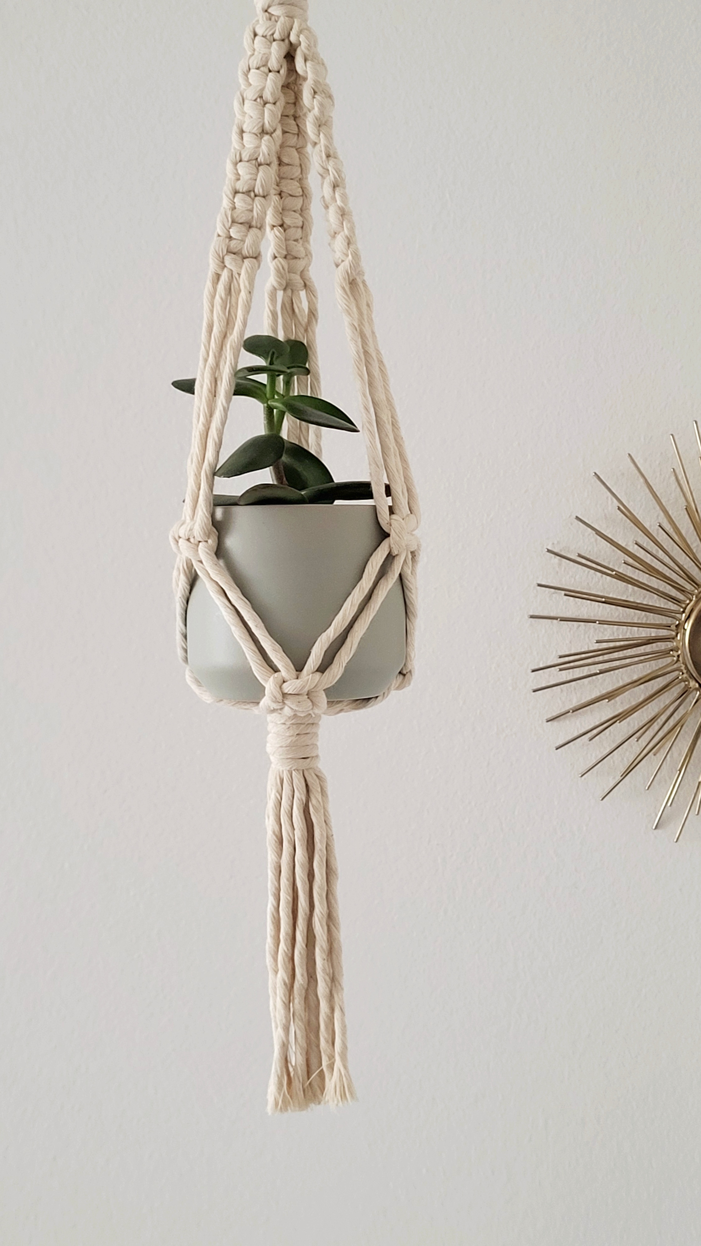 The Daisy – Natural – bild 5