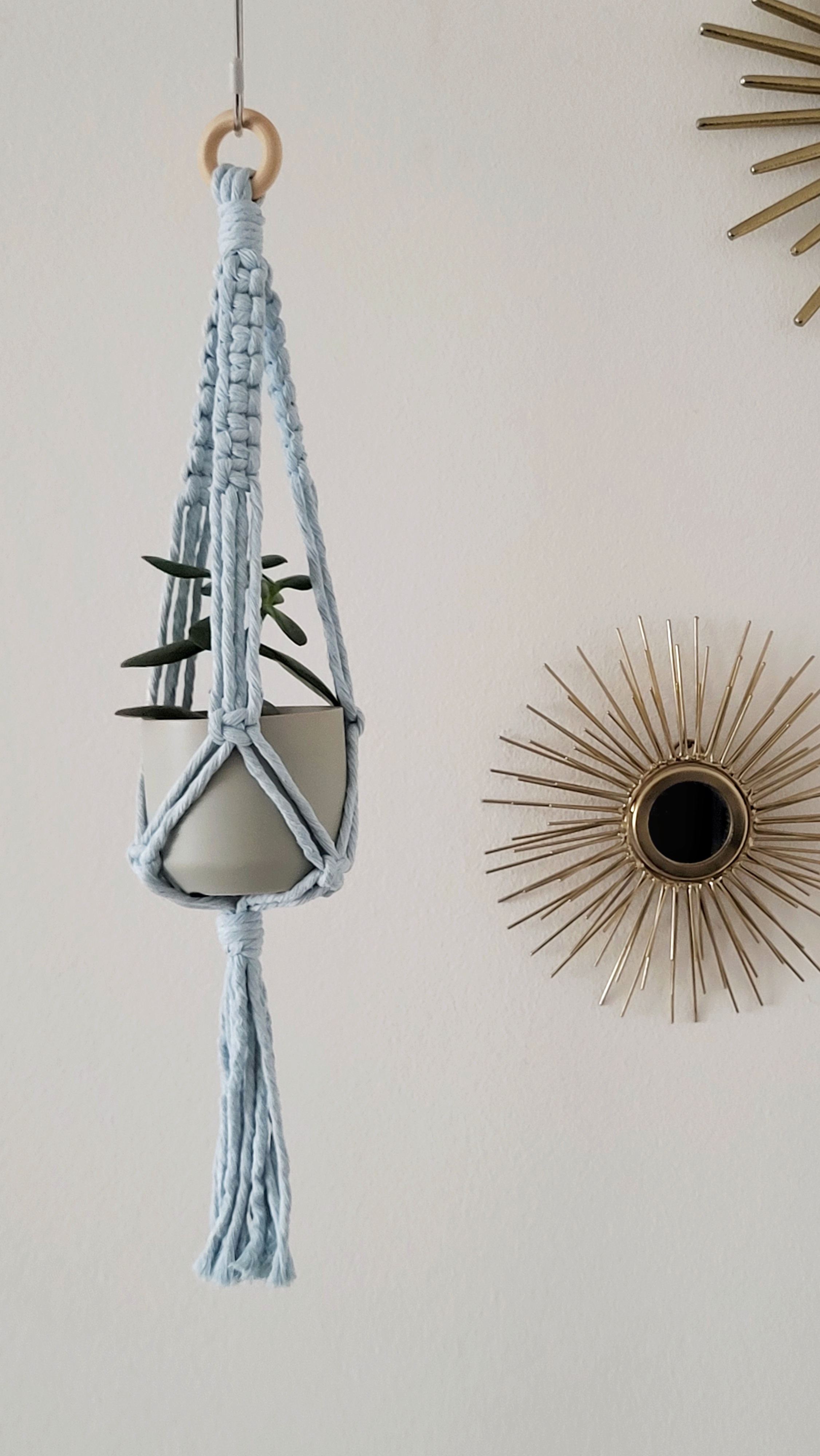 The Daisy – Sky – bild 3