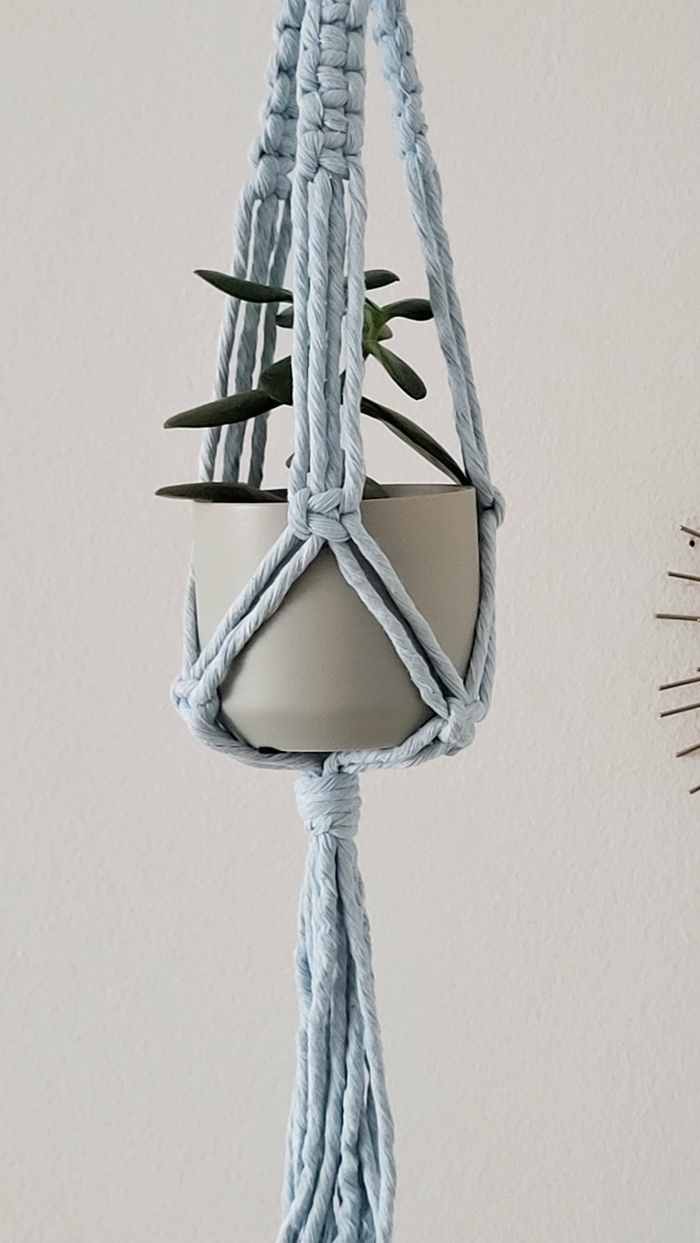 The Daisy – Sky – bild 4