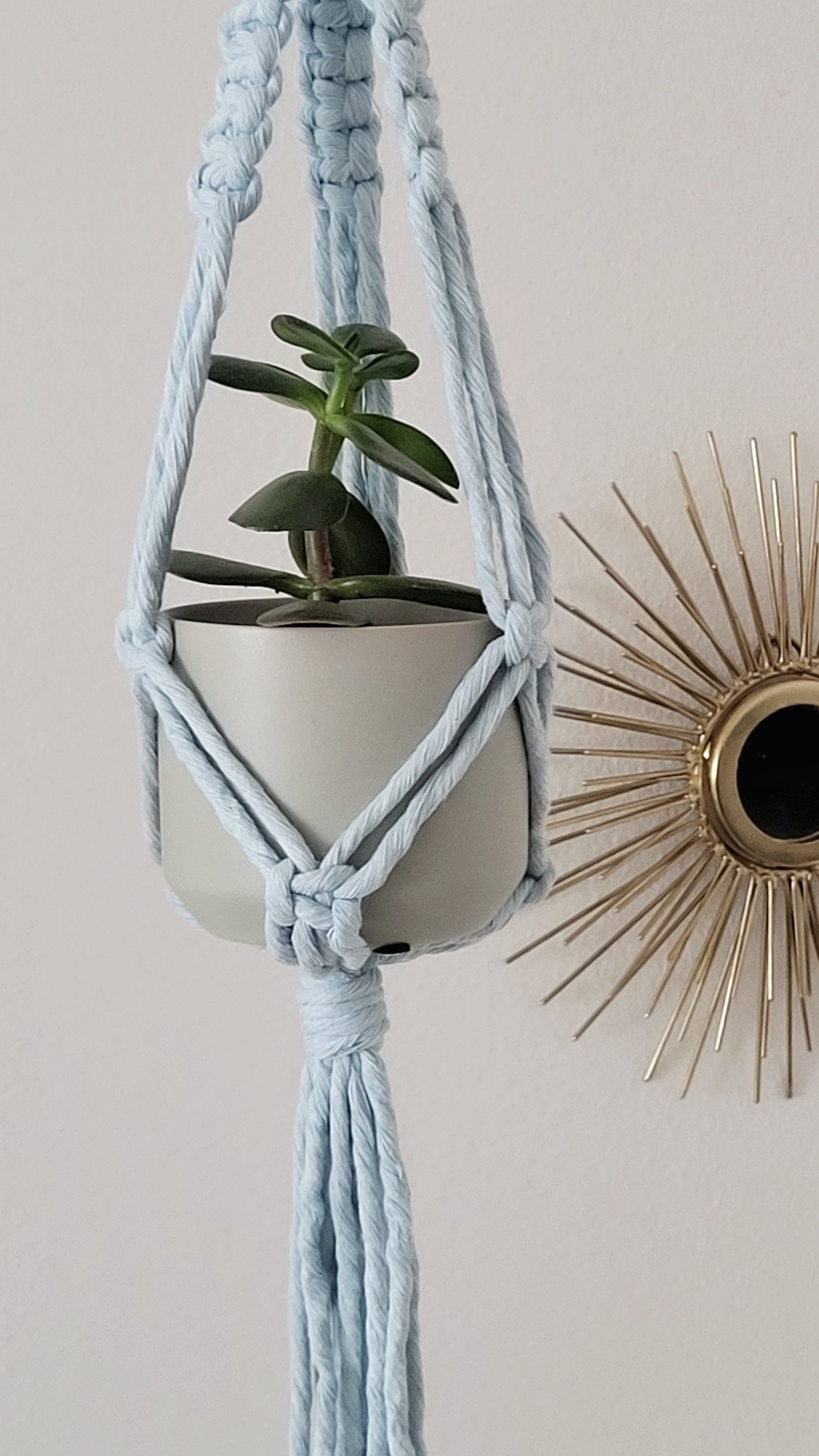 The Daisy – Sky – bild 5