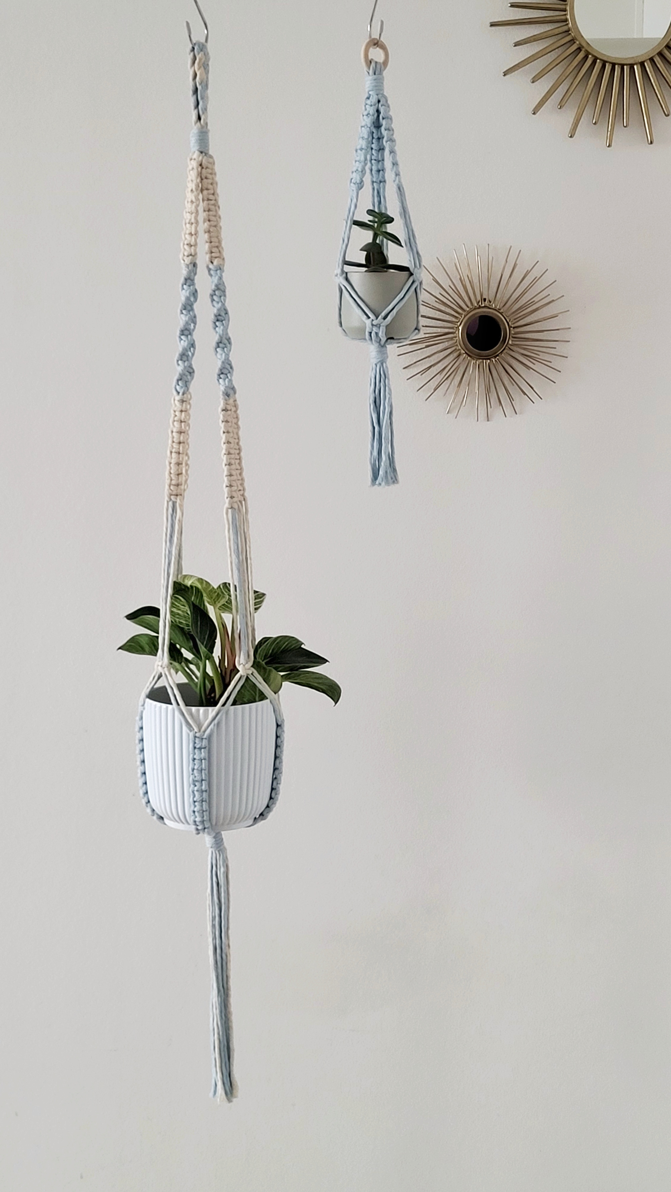 The Daisy – Sky – bild 6