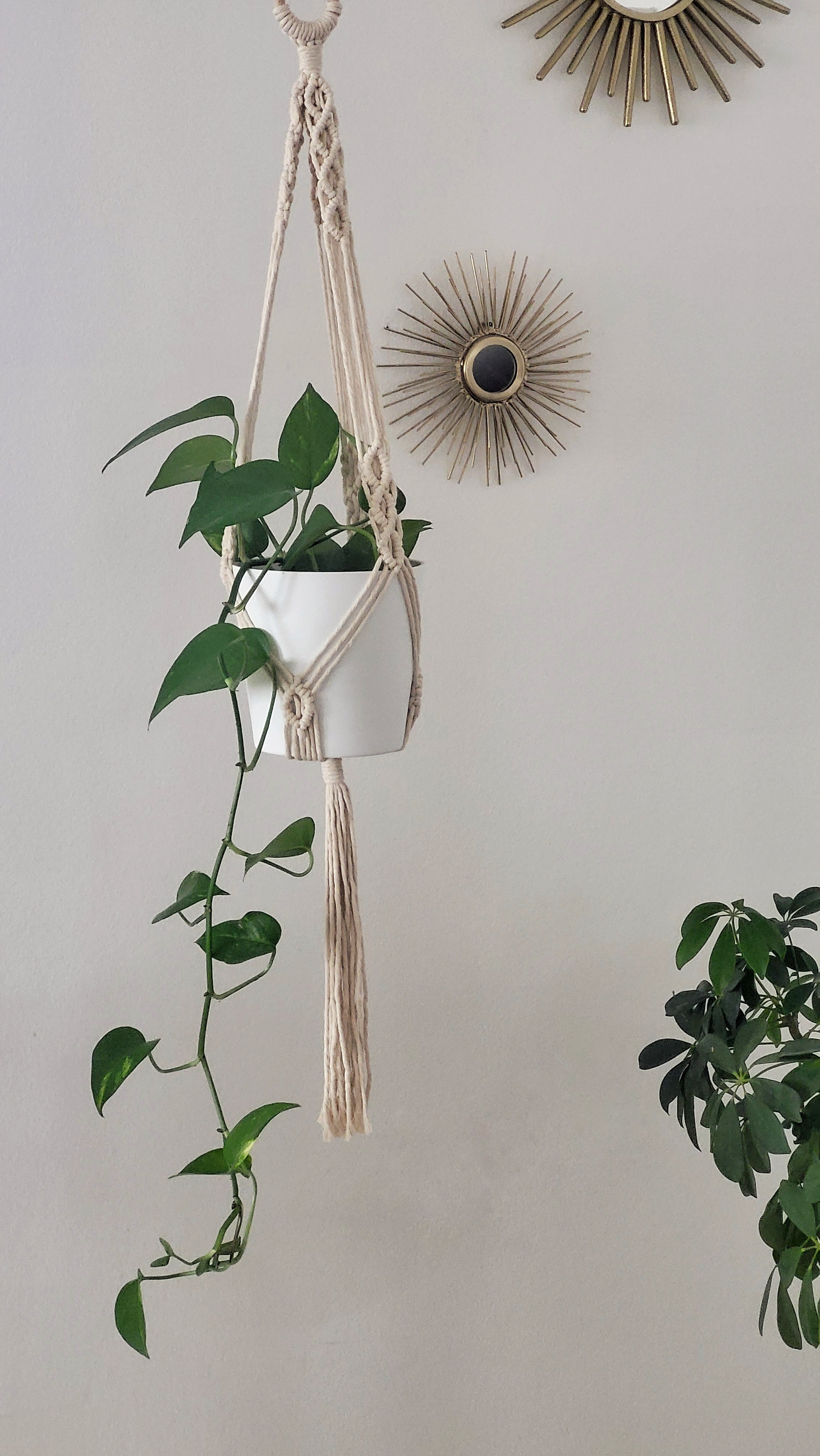 The Hazel - Classic – bild 2