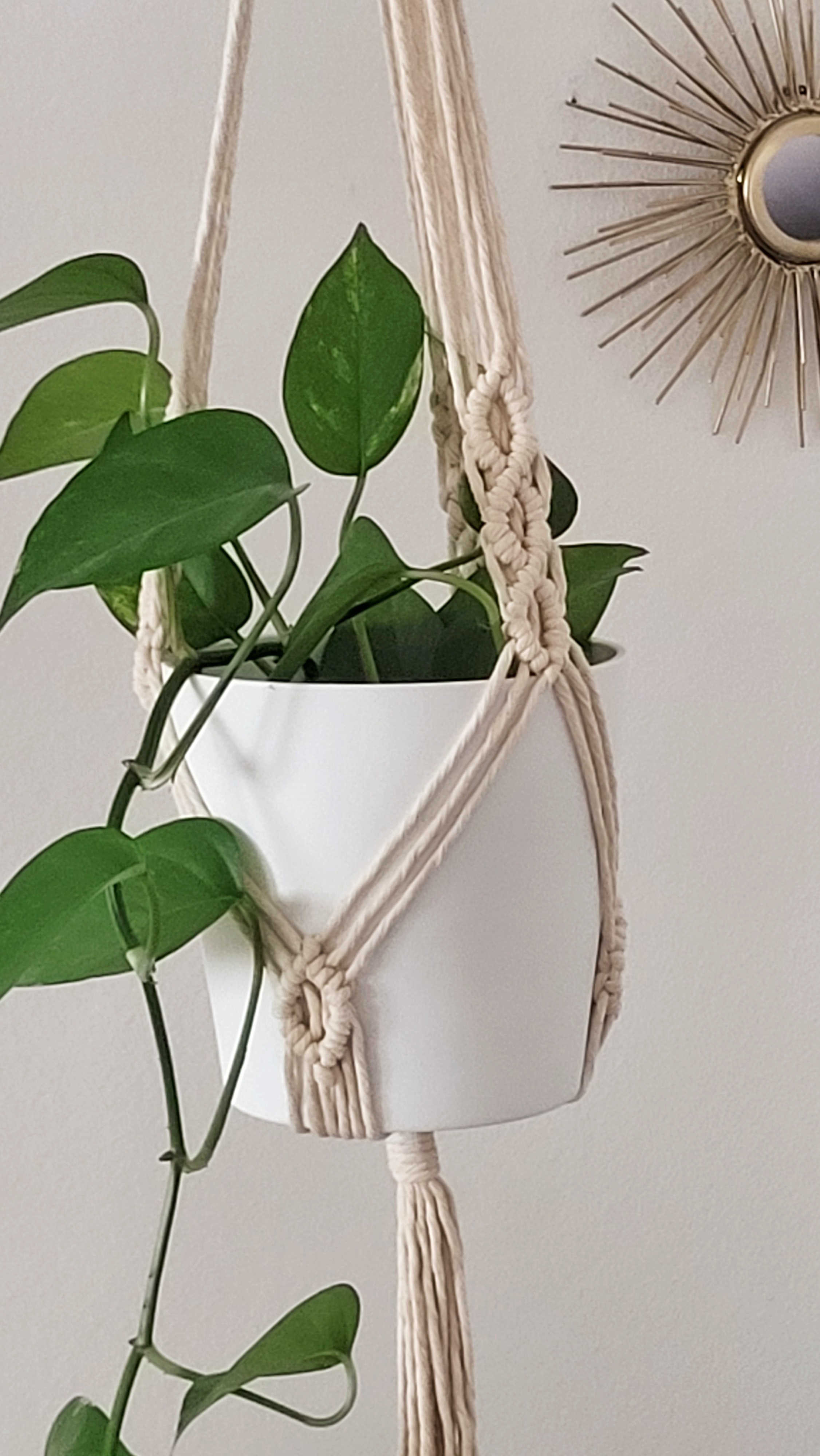 The Hazel - Classic – bild 3