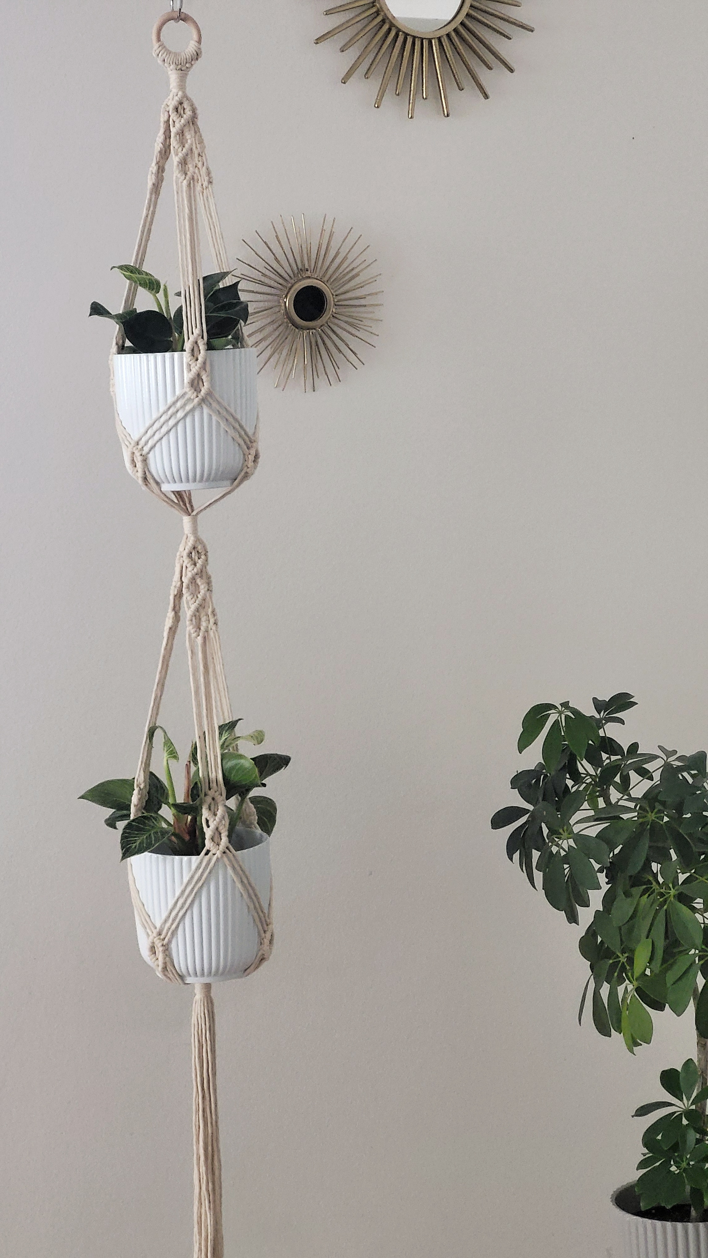 The Hazel - Double – bild 3