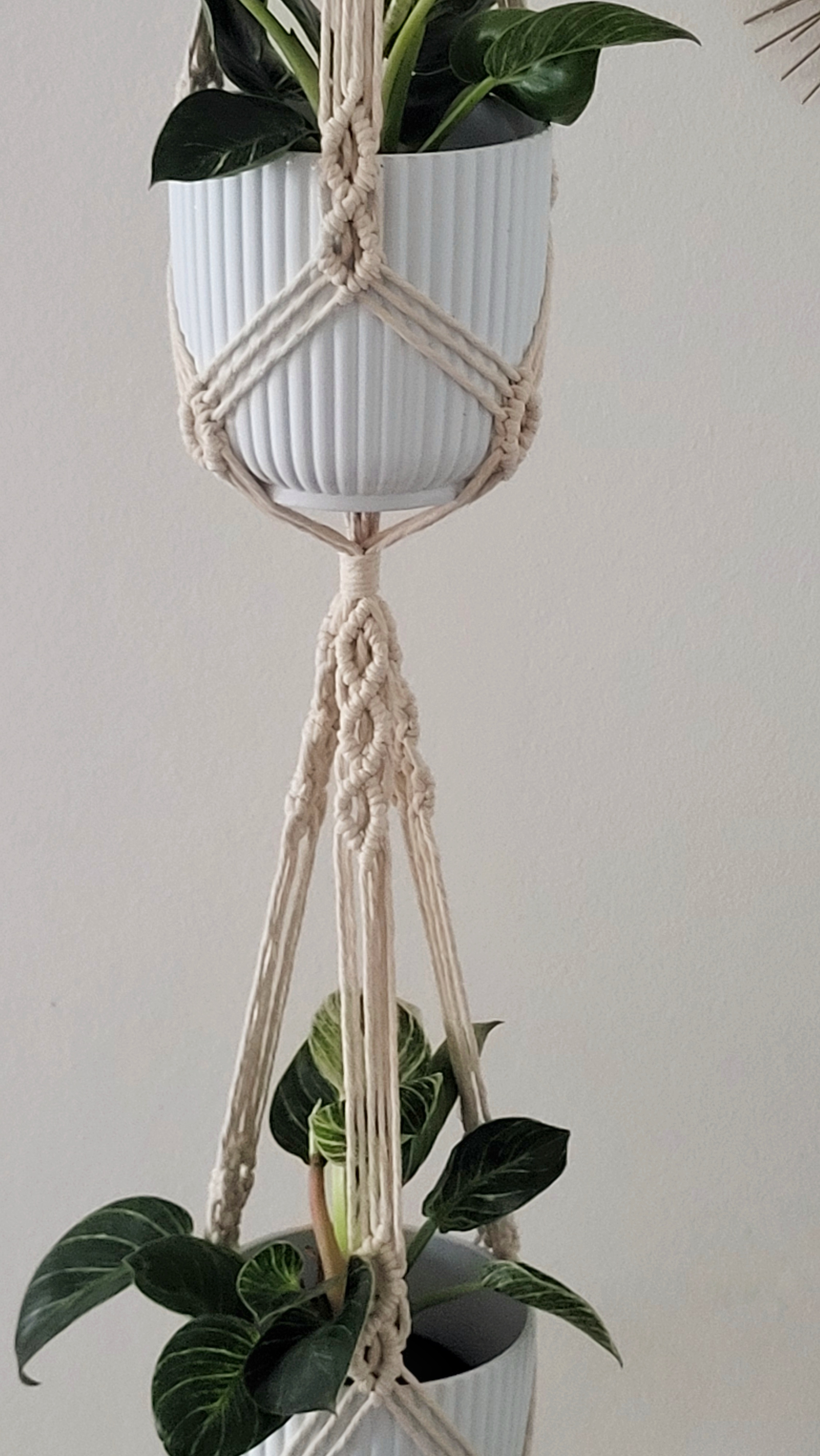 The Hazel - Double – bild 4