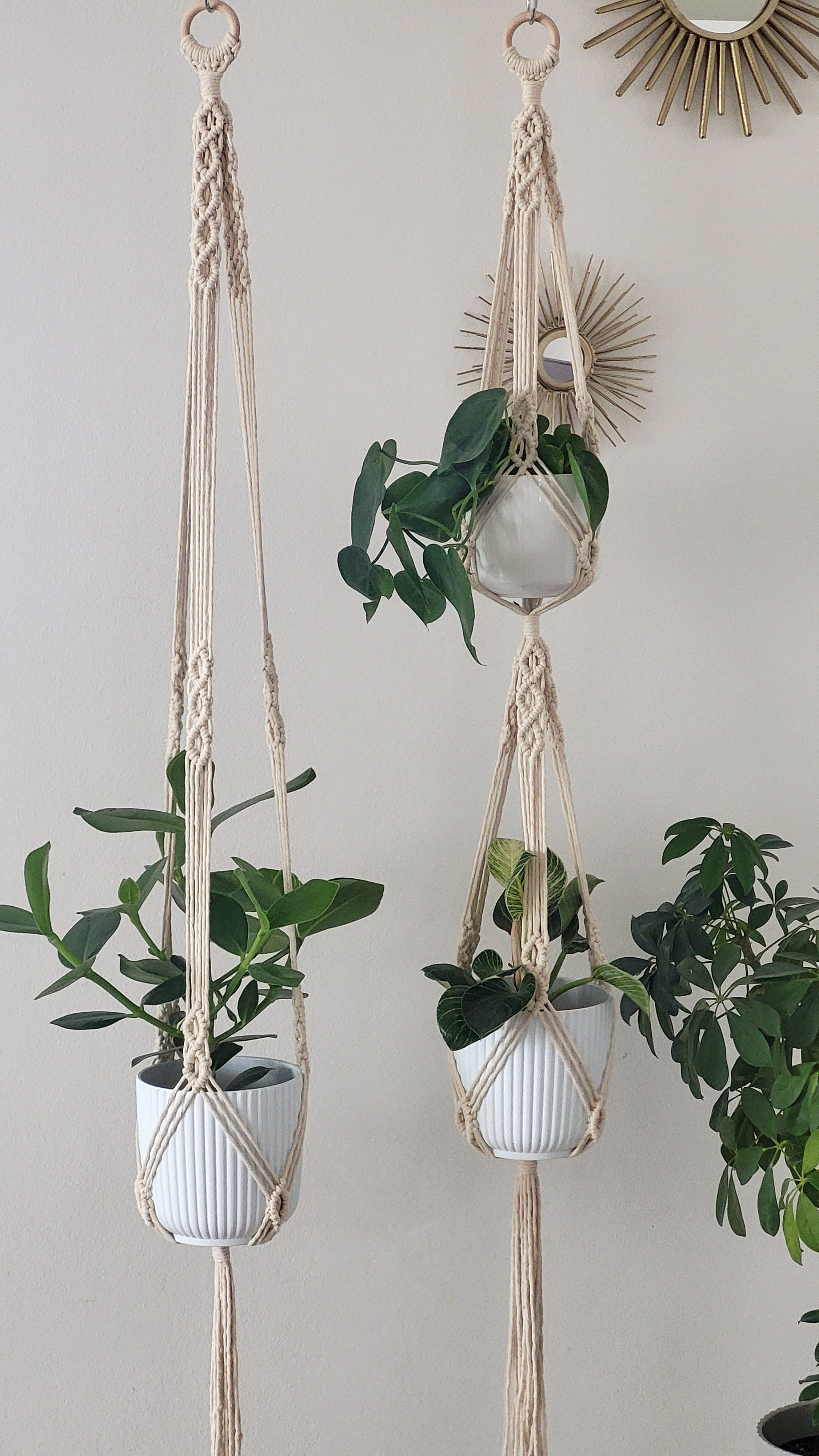 The Hazel - Long – bild 3