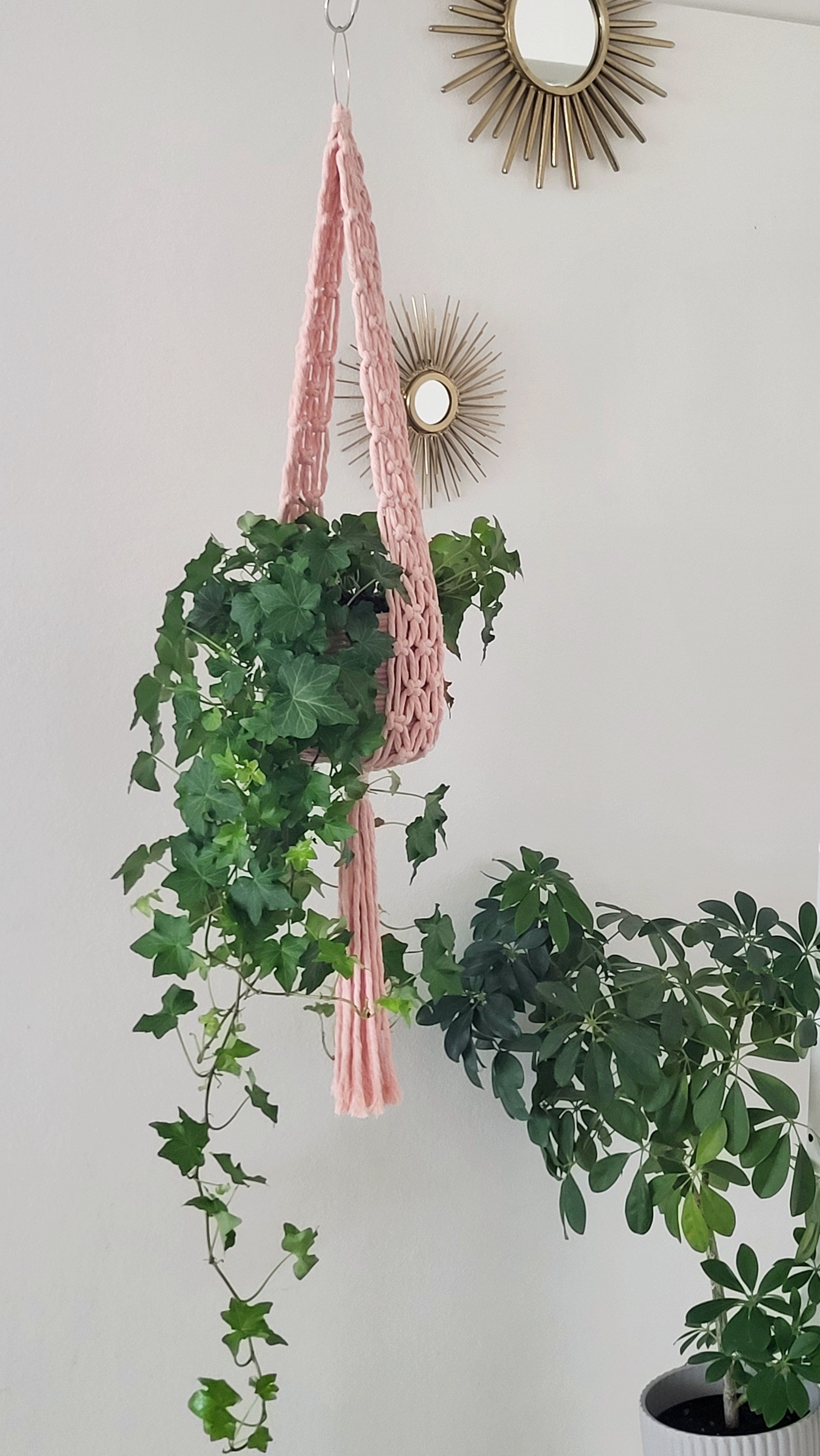 The Ivy - Blush – handgjord makramé växtampel