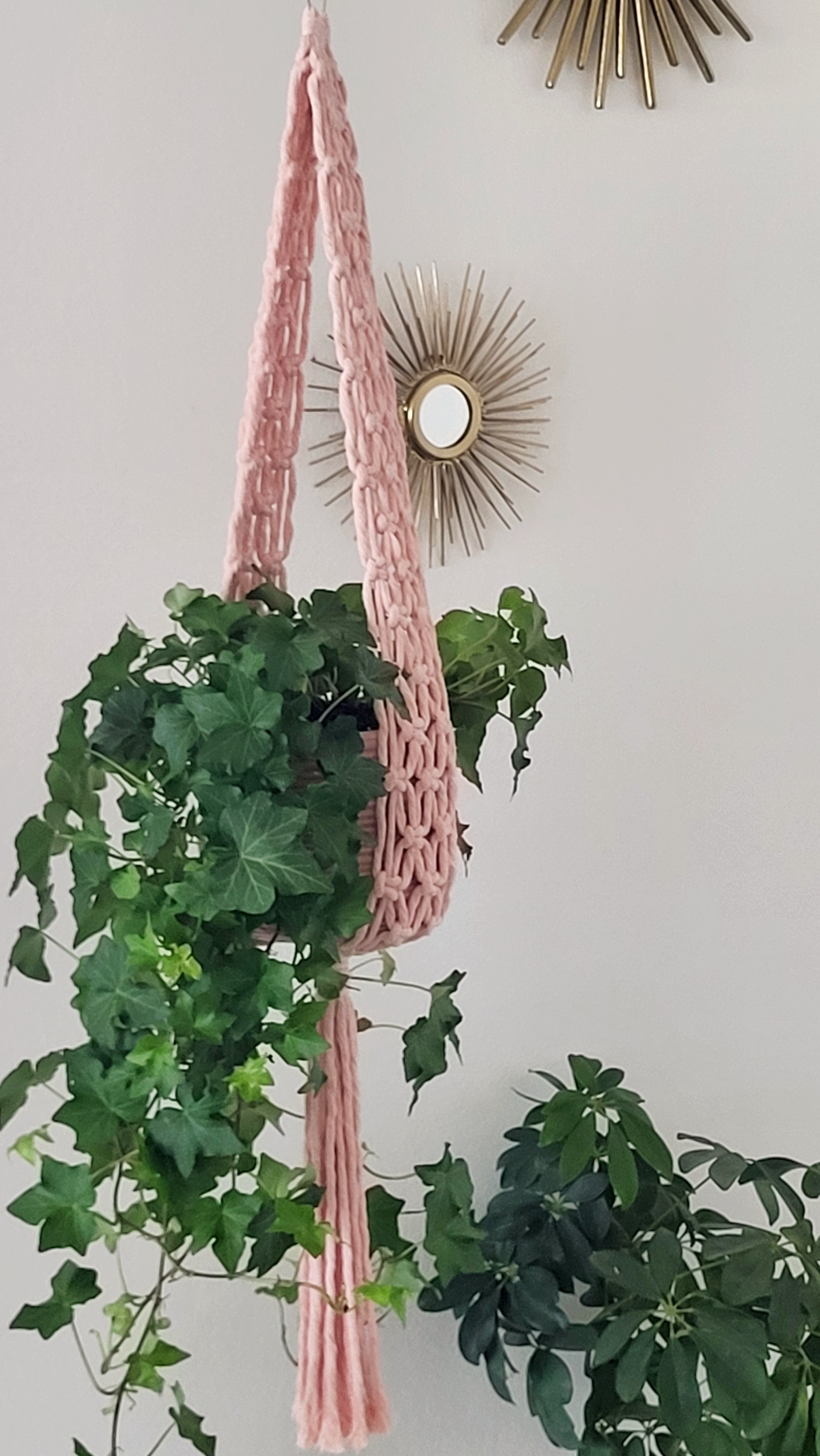 The Ivy - Blush – bild 2