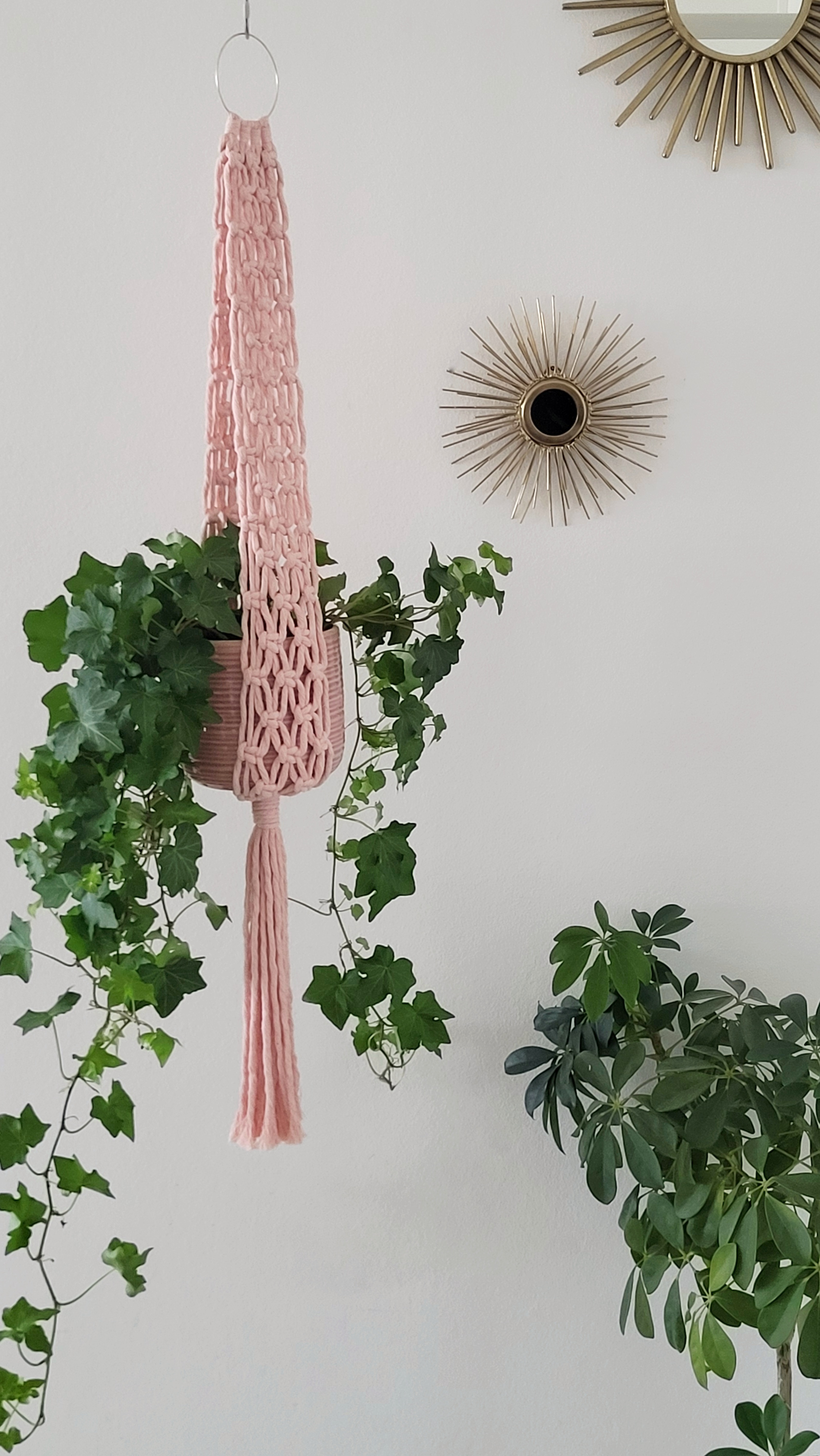 The Ivy - Blush – bild 3