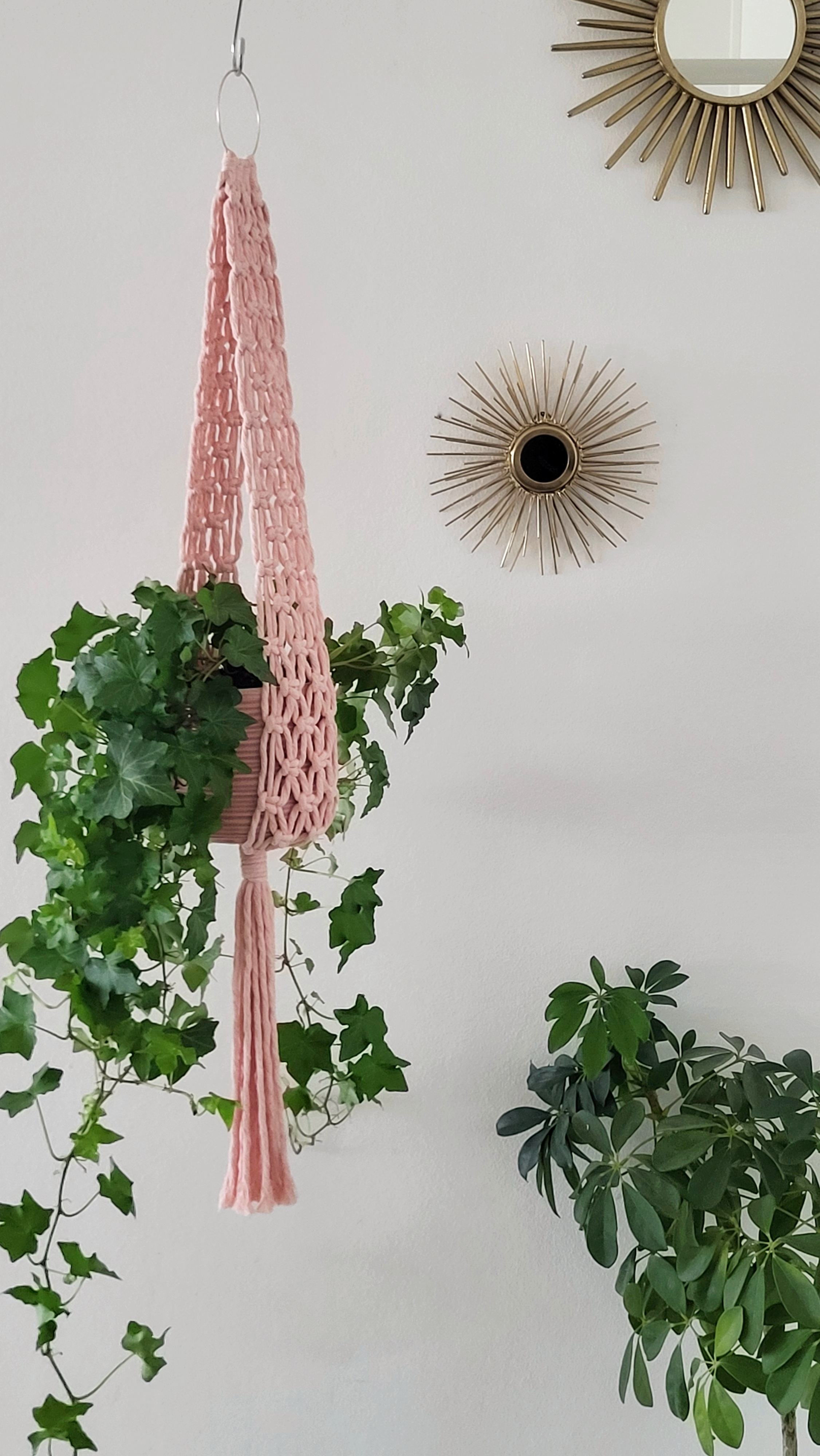 The Ivy - Blush – bild 4