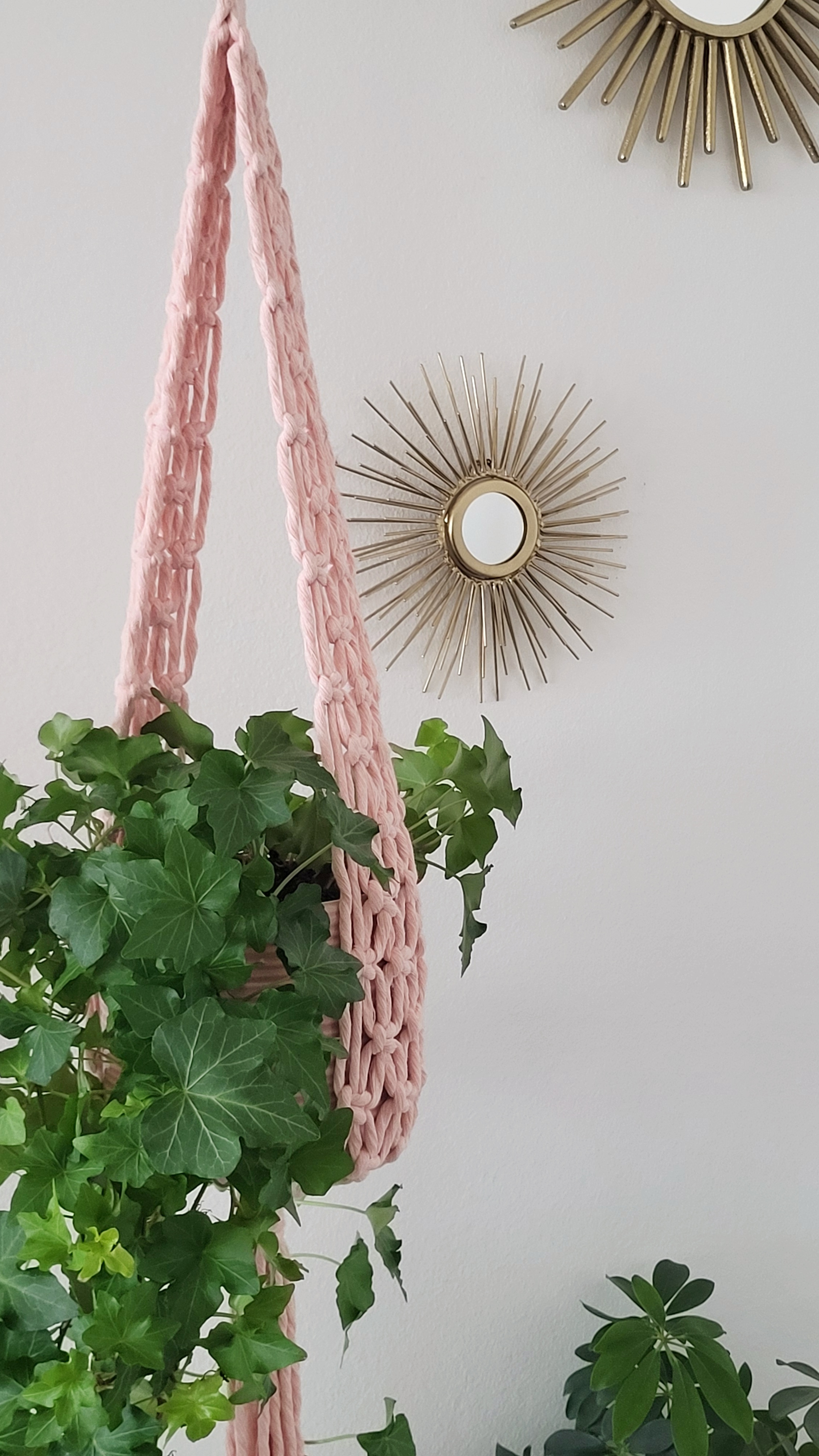 The Ivy - Blush – bild 5