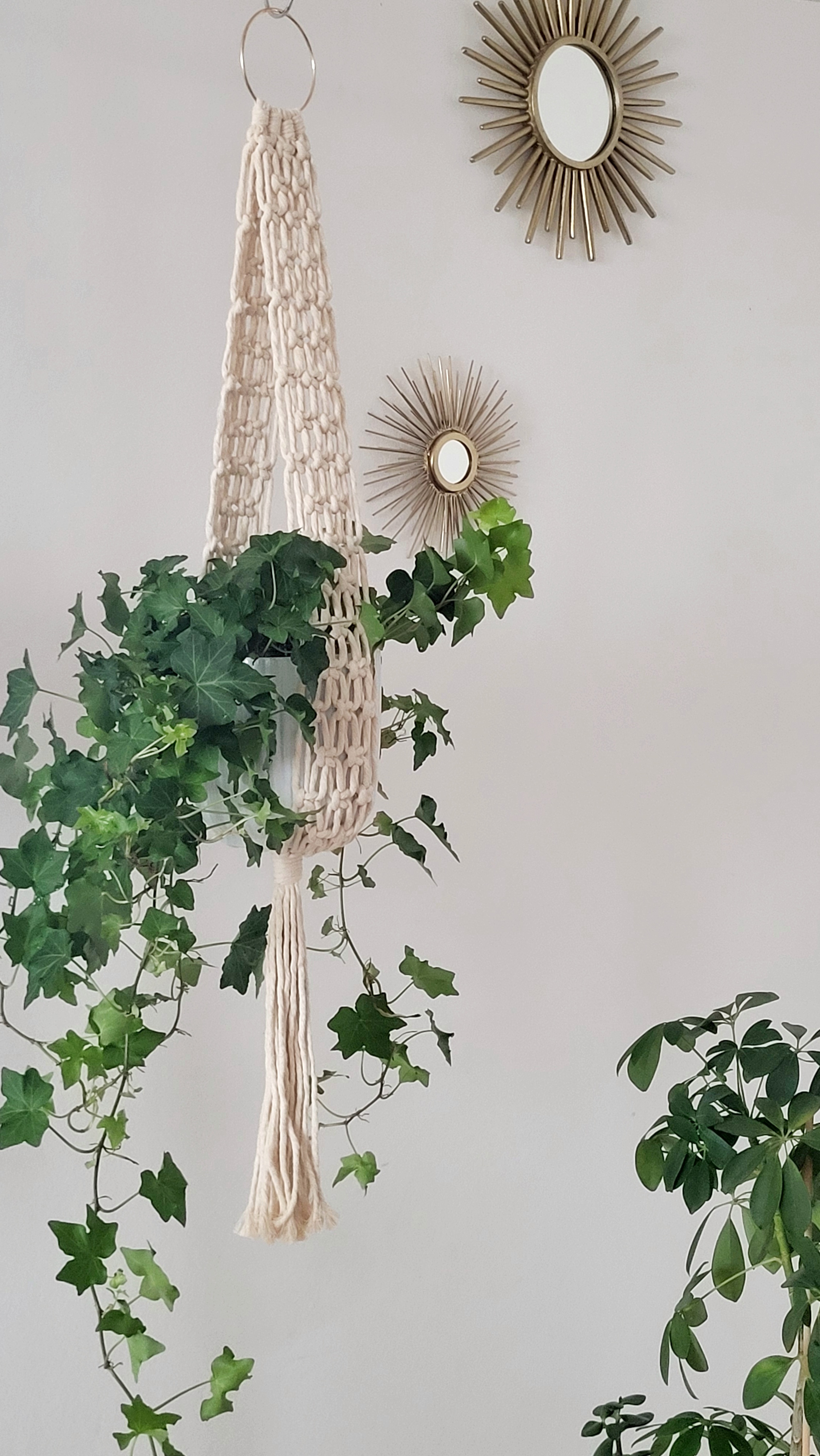 The Ivy - Natural – bild 3