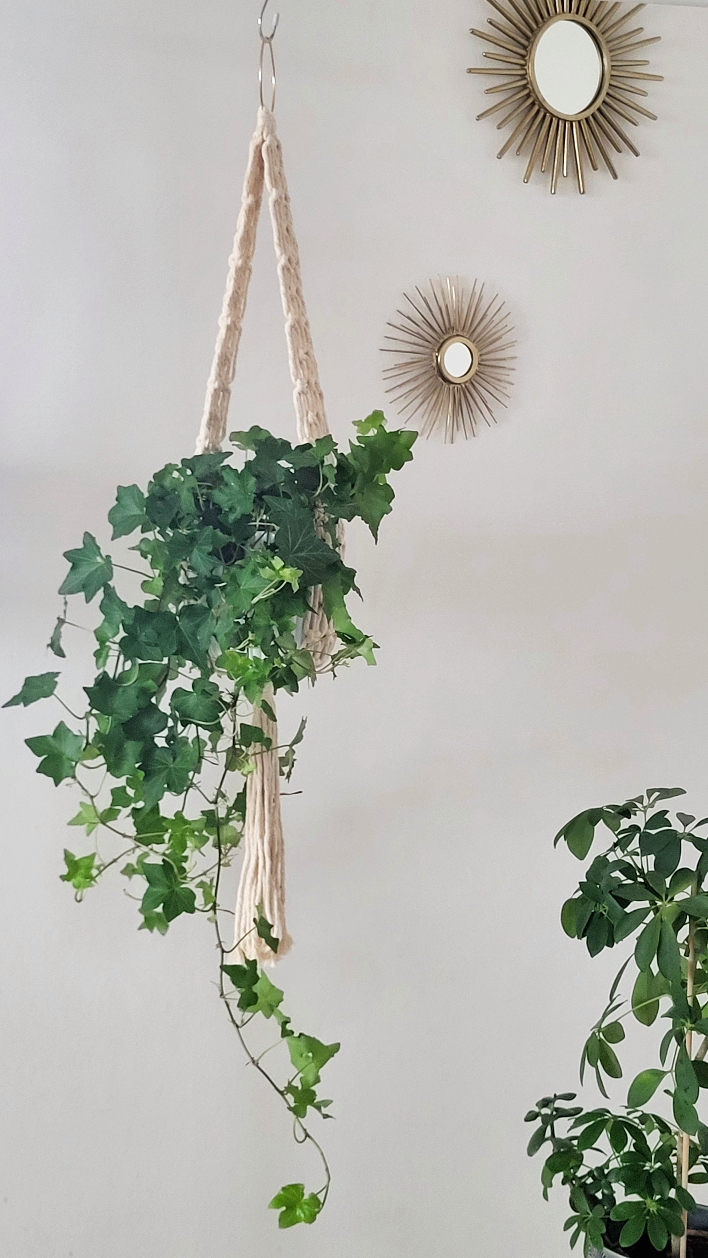 The Ivy - Natural – bild 4