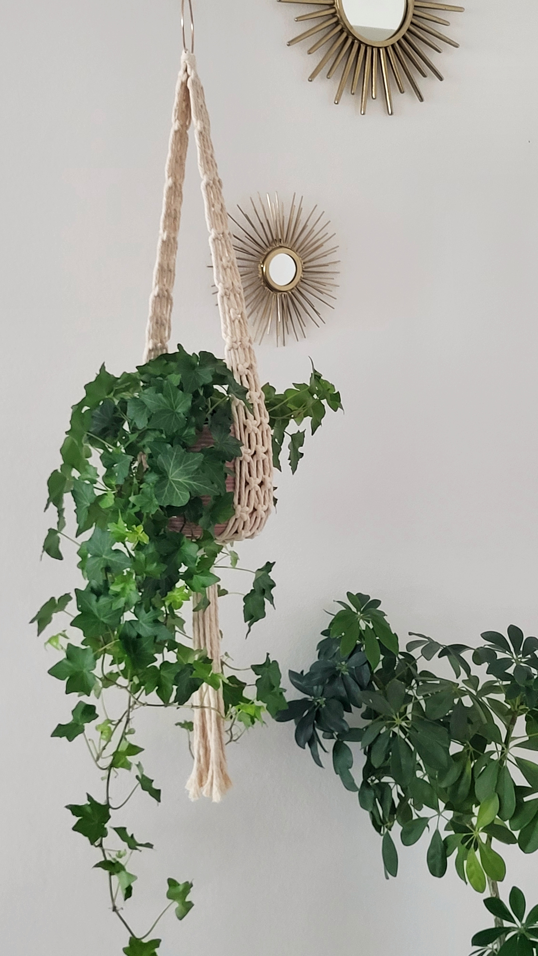 The Ivy - Natural – bild 5