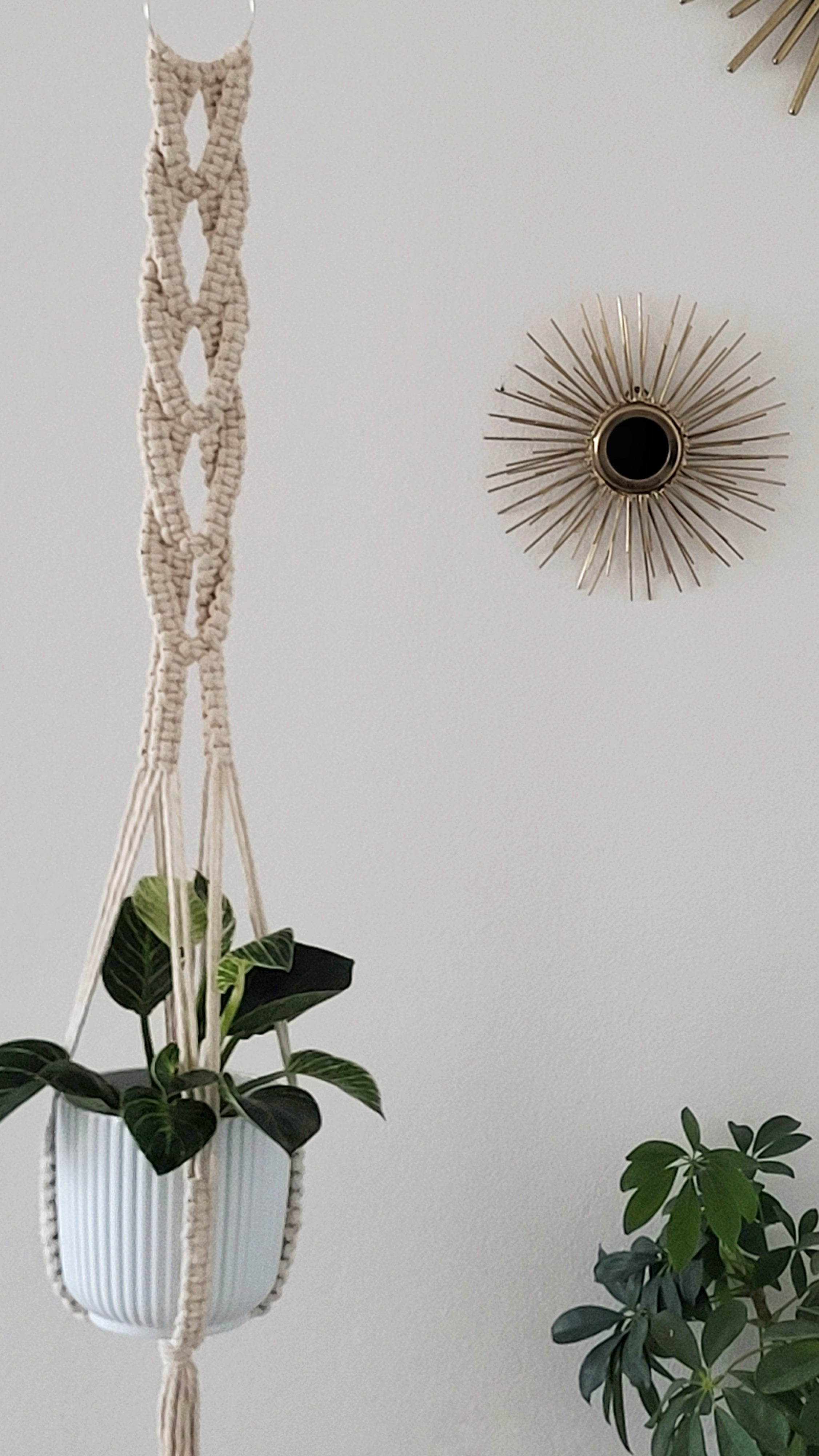 The Willow - Classic – bild 2