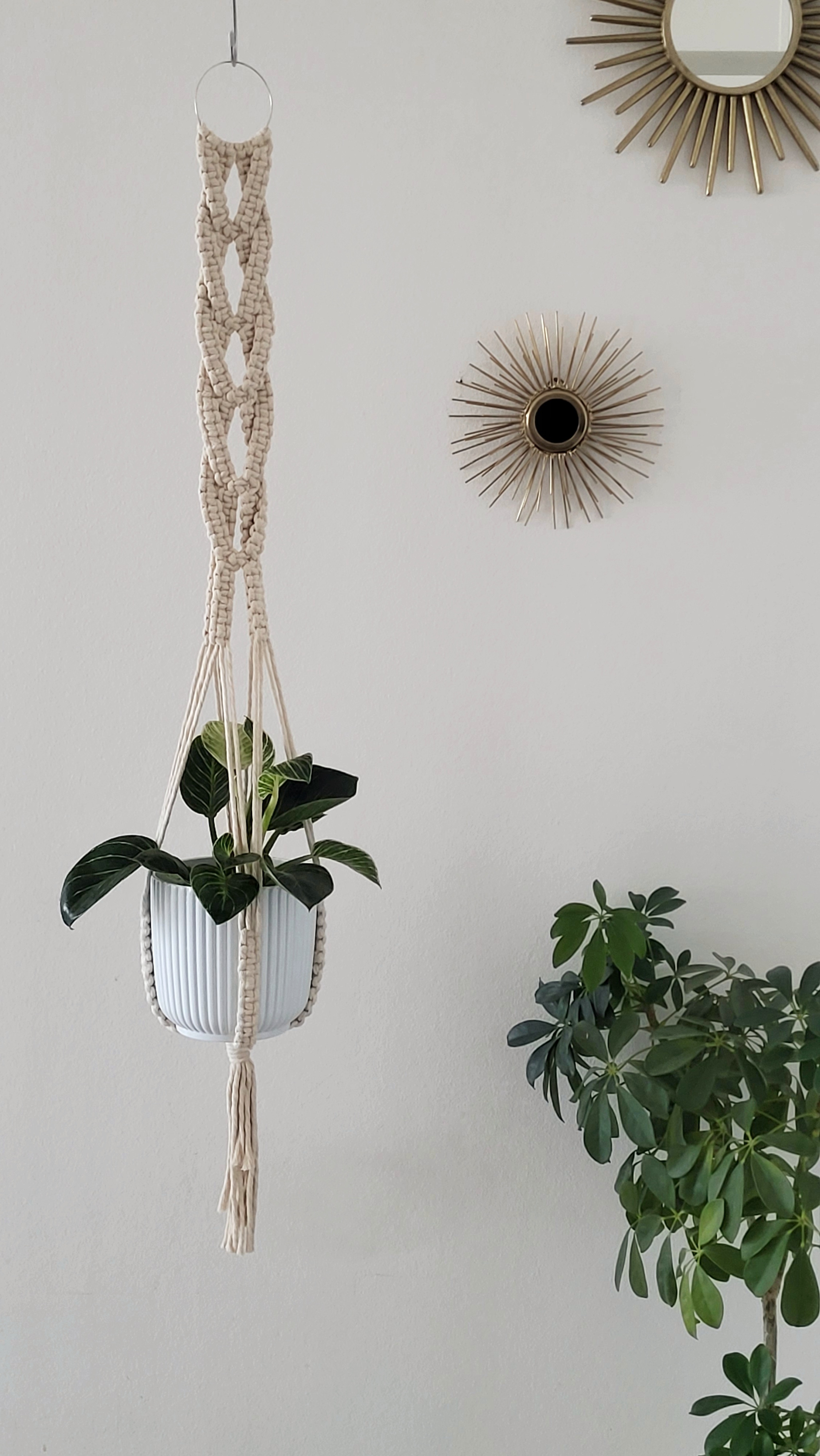 The Willow - Classic – bild 3