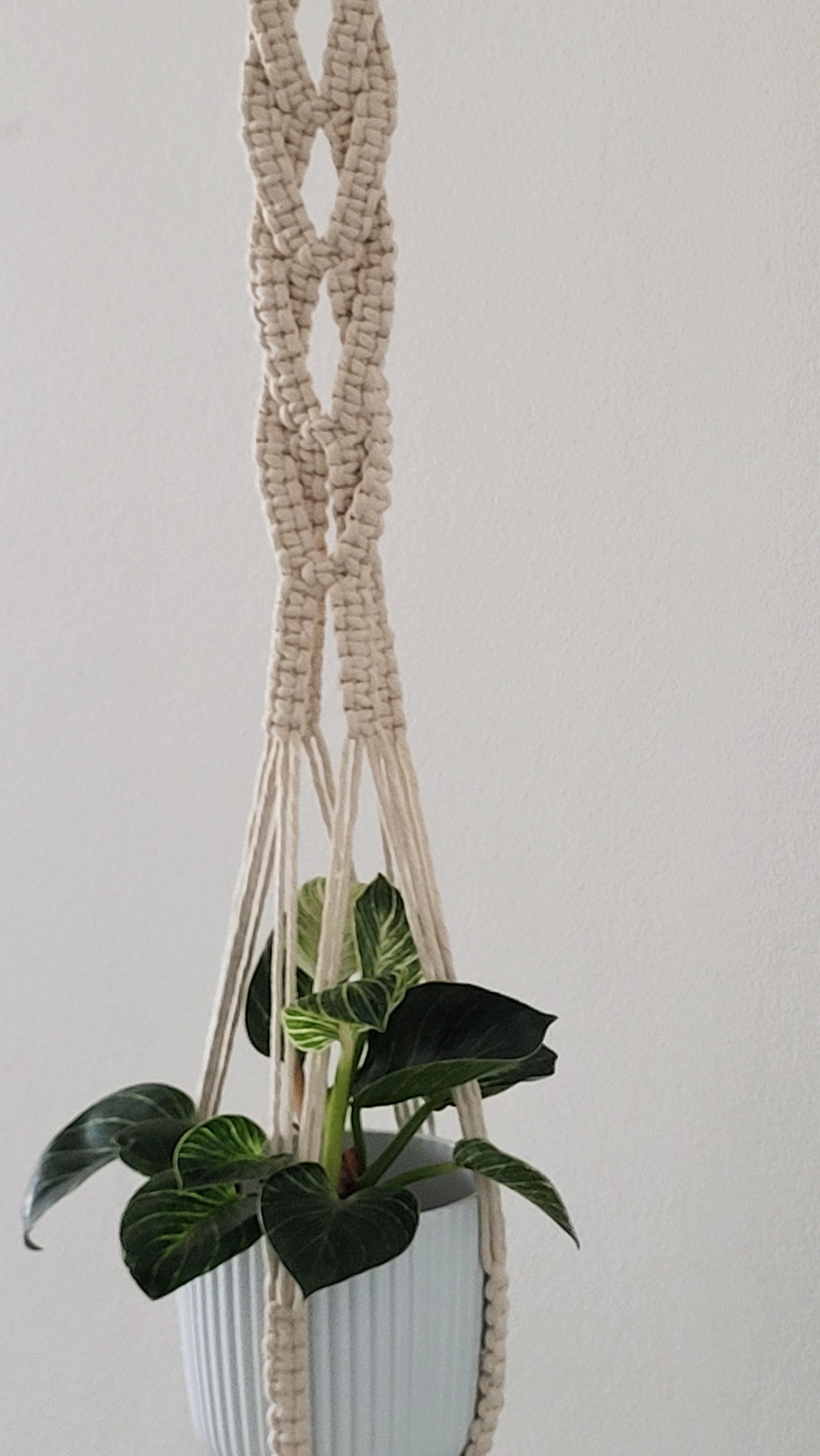 The Willow - Classic – bild 5