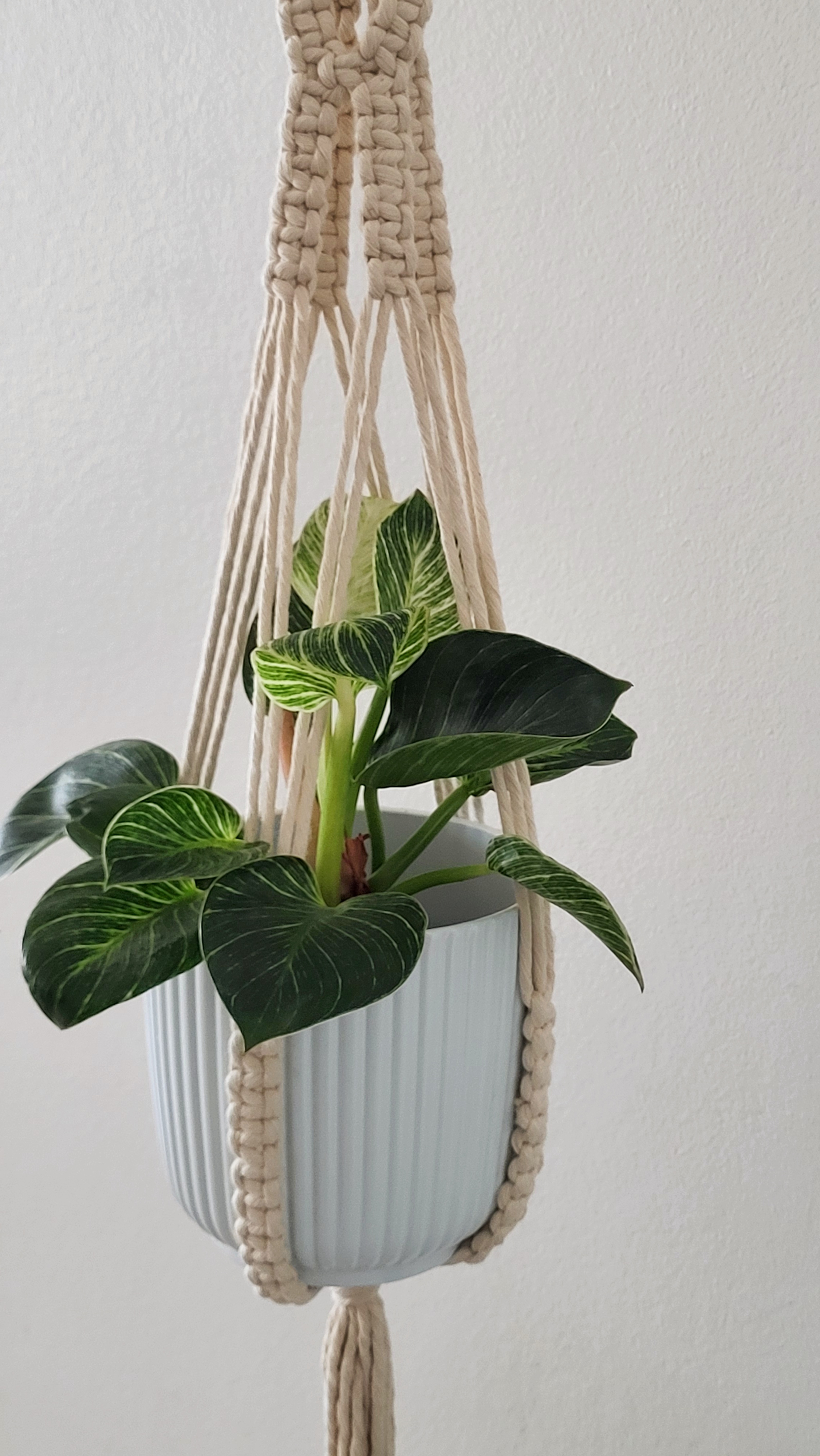 The Willow - Classic – bild 6