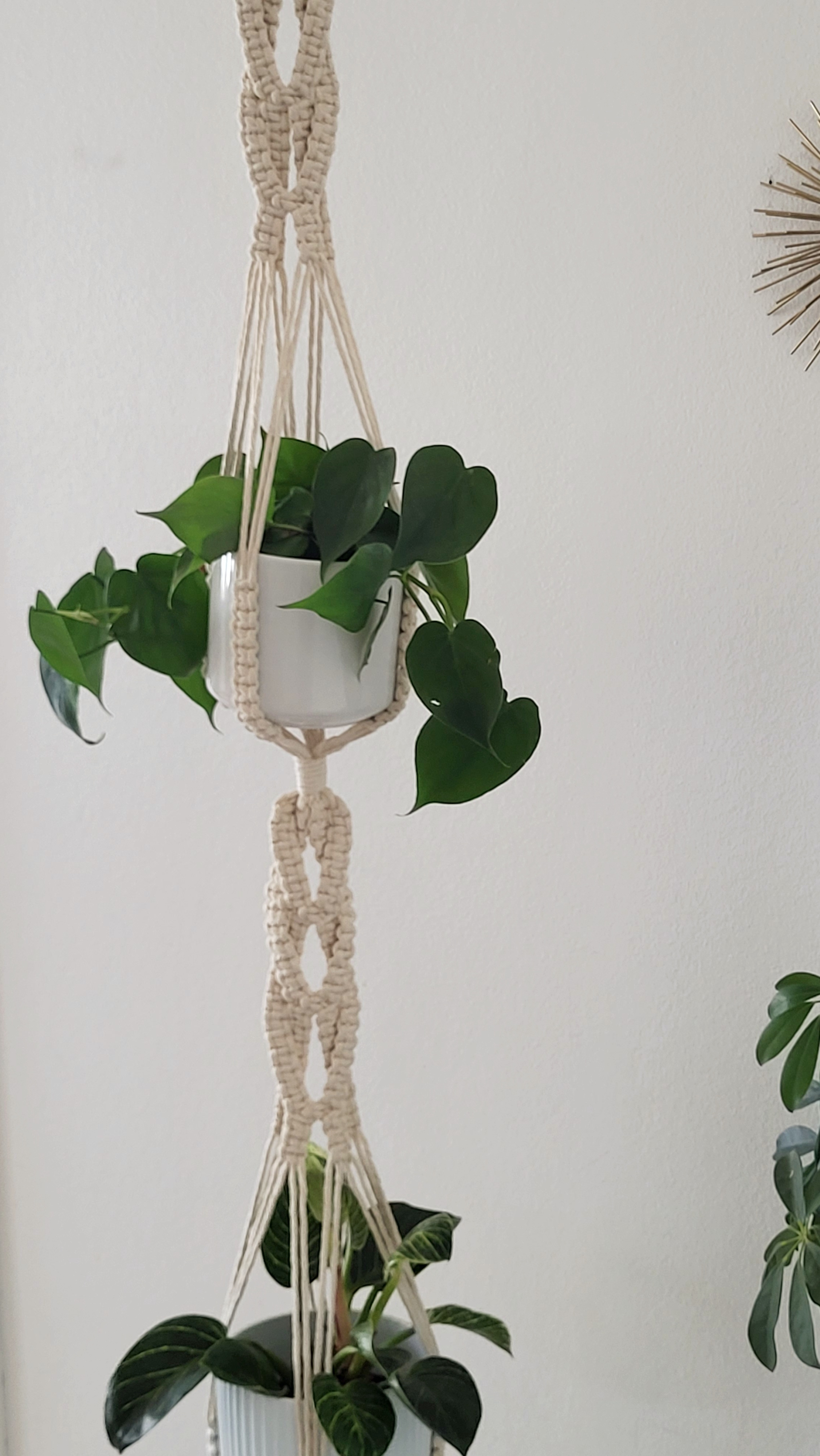 The Willow - Double – bild 2