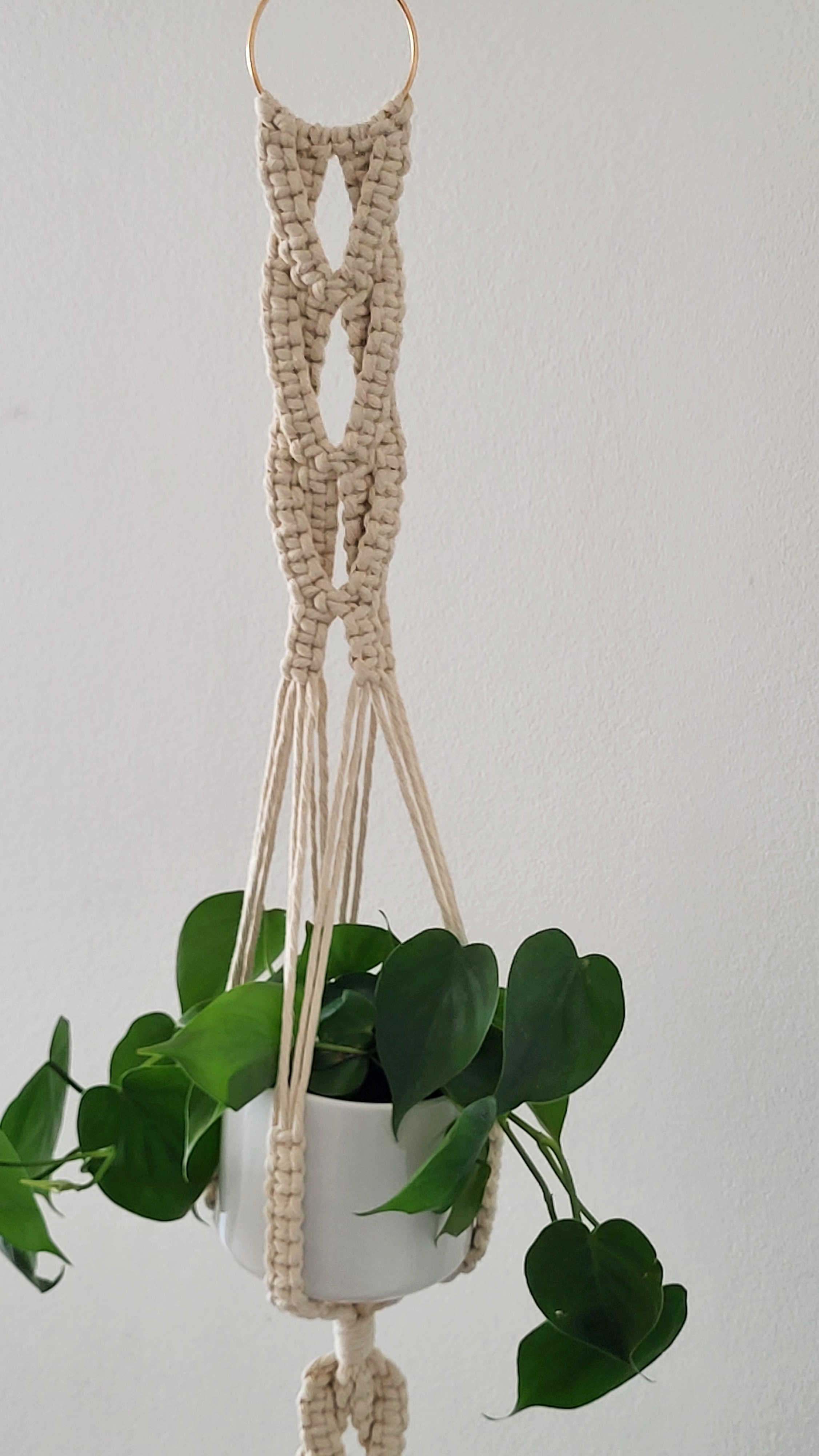 The Willow - Double – bild 3