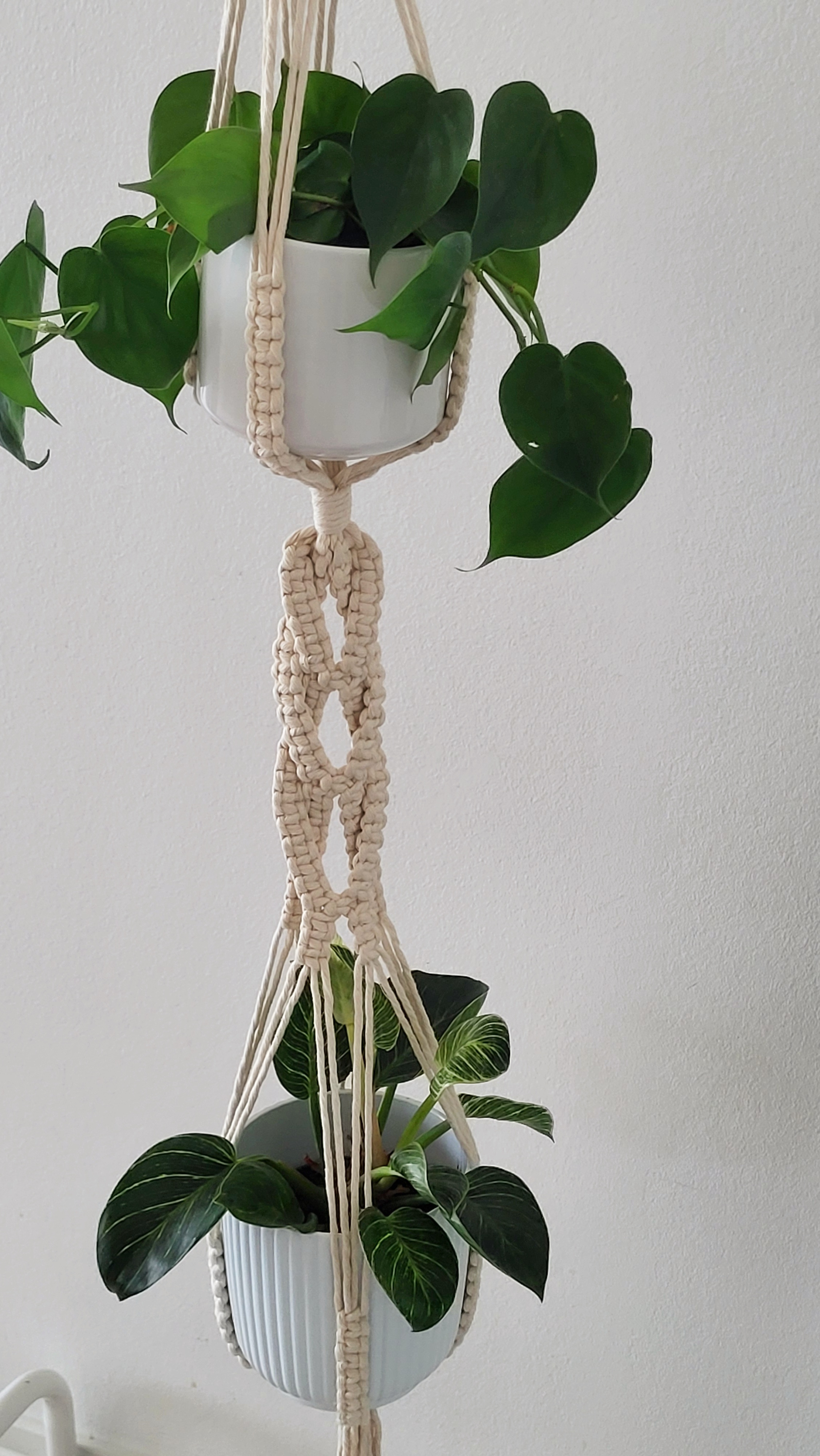 The Willow - Double – bild 4