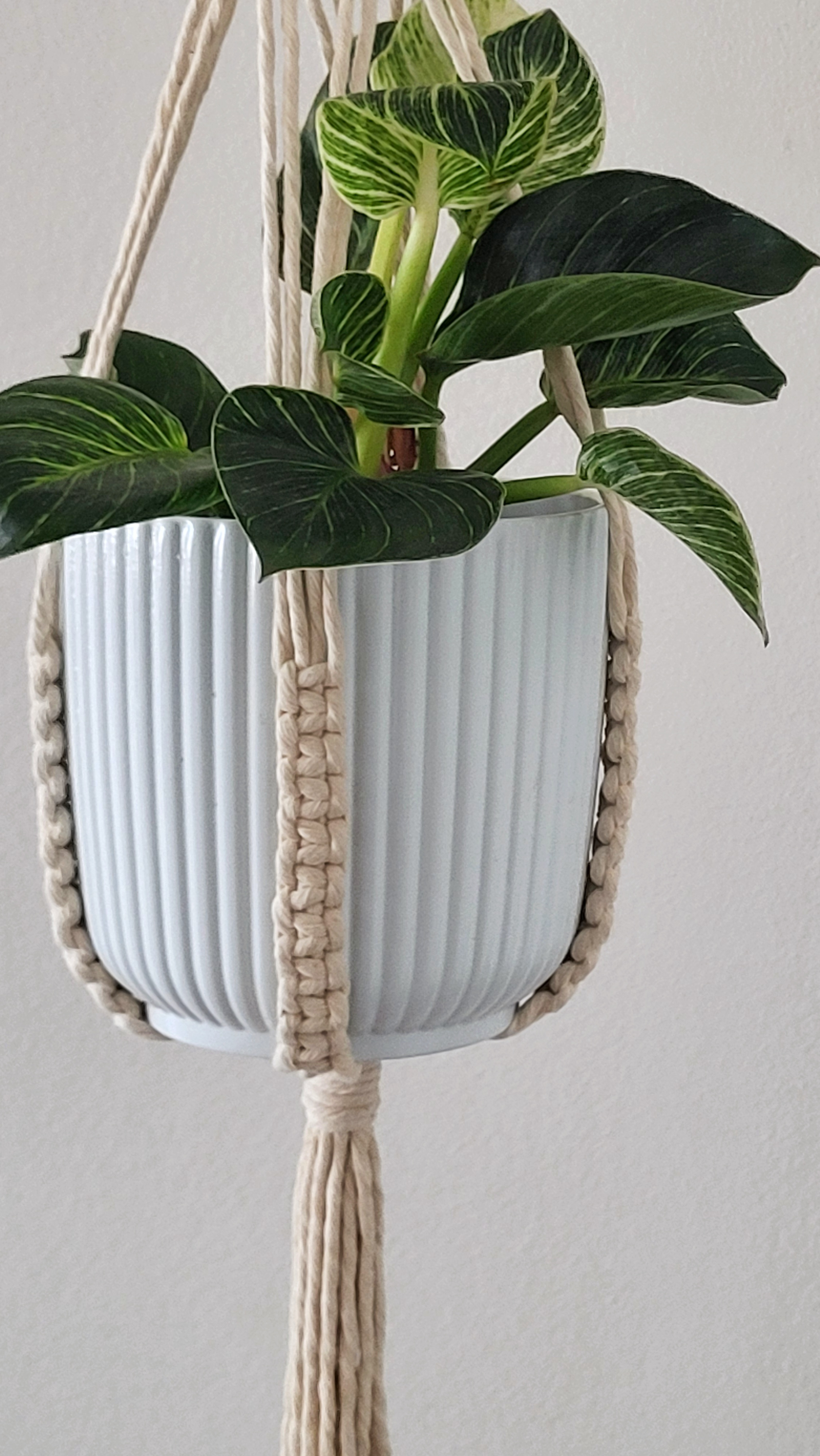 The Willow - Small – bild 6