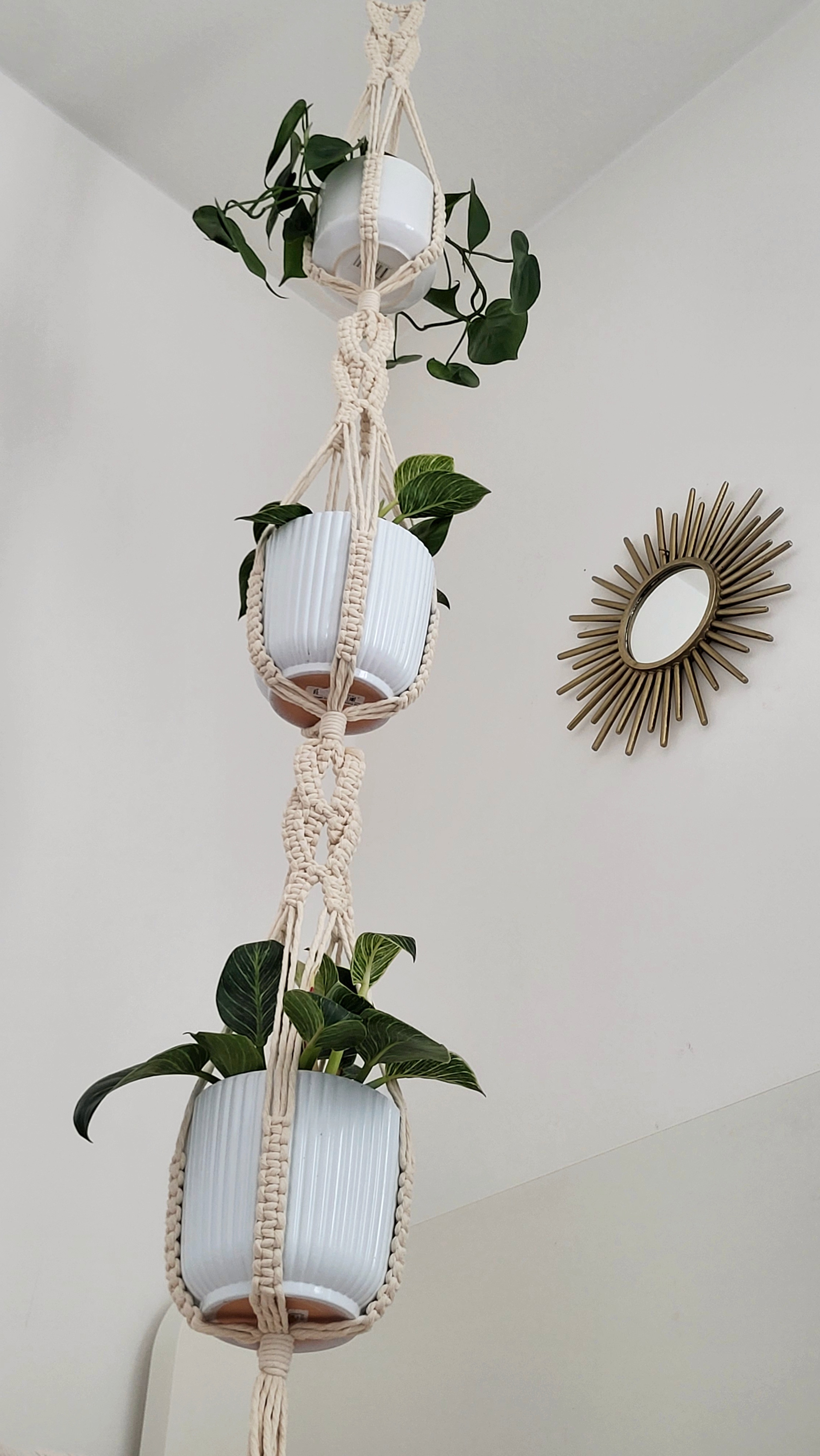 The Willow - Triple – bild 5